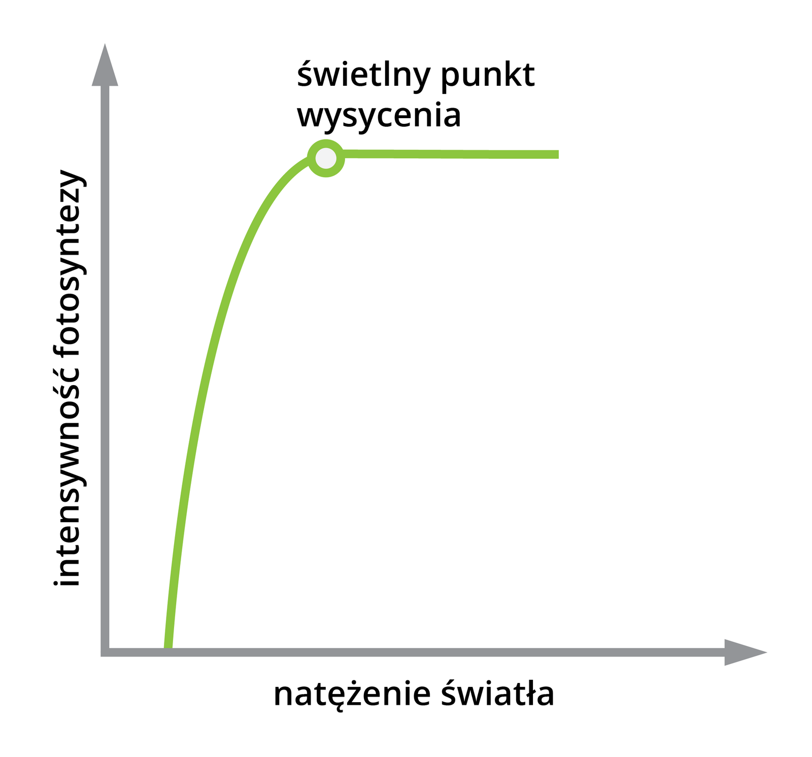 Wykres przedstawia wpływ natężenia światła na intensywność fotosyntezy. Na pionowej osi widnieje napis "intensywność fotosyntezy", a na poziomej osi "natężenie światła". Krzywa znajdująca się między osiami wznosi się do miejsca oznaczonego jako "świetlny punkt wysycenia". Po jego osiągnięciu utrzymuje się na niezmiennym, wysokim poziomie.