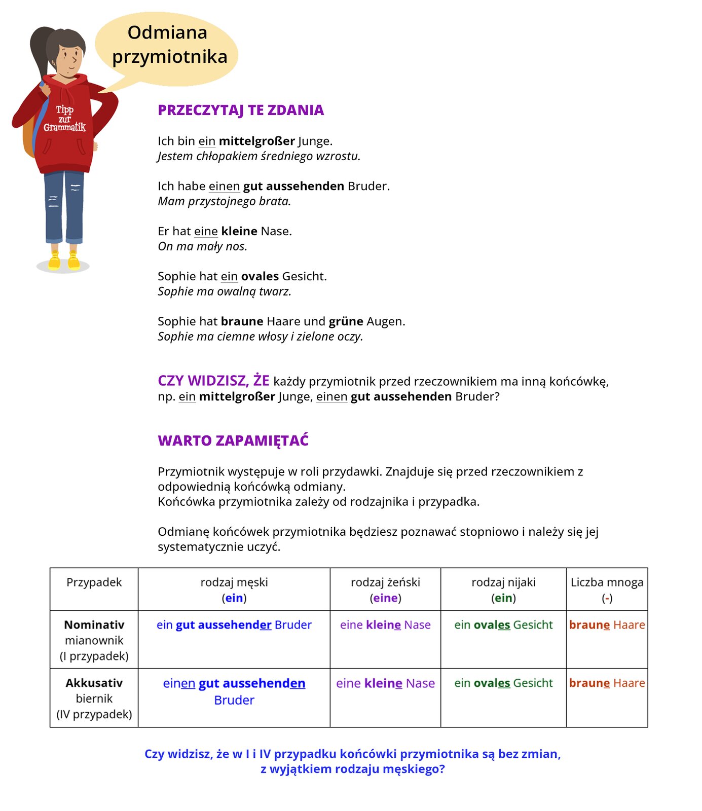 Ilustracja zawiera poradę językową.
Grafika przedstawia dziewczynkę ubraną w czerwoną bluzę z napisem Tipp zur Grammatik oraz niebieskie spodnie.
Dziewczynka mówi: Odmiana przymiotnika.
Pozostałą część ilustracji stanowi tekst, którego treść wyświetla się w trybie dostępności.