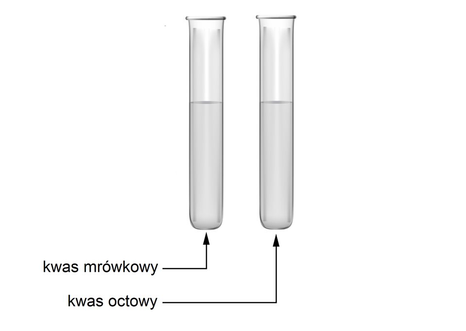 Ilustracja przedstawia dwie probówki, obie wypełnione bezbarwną cieczą. Zawartość probówki po lewej stronie podpisano jako kwas mrówkowy, a po prawej – kwas octowy.