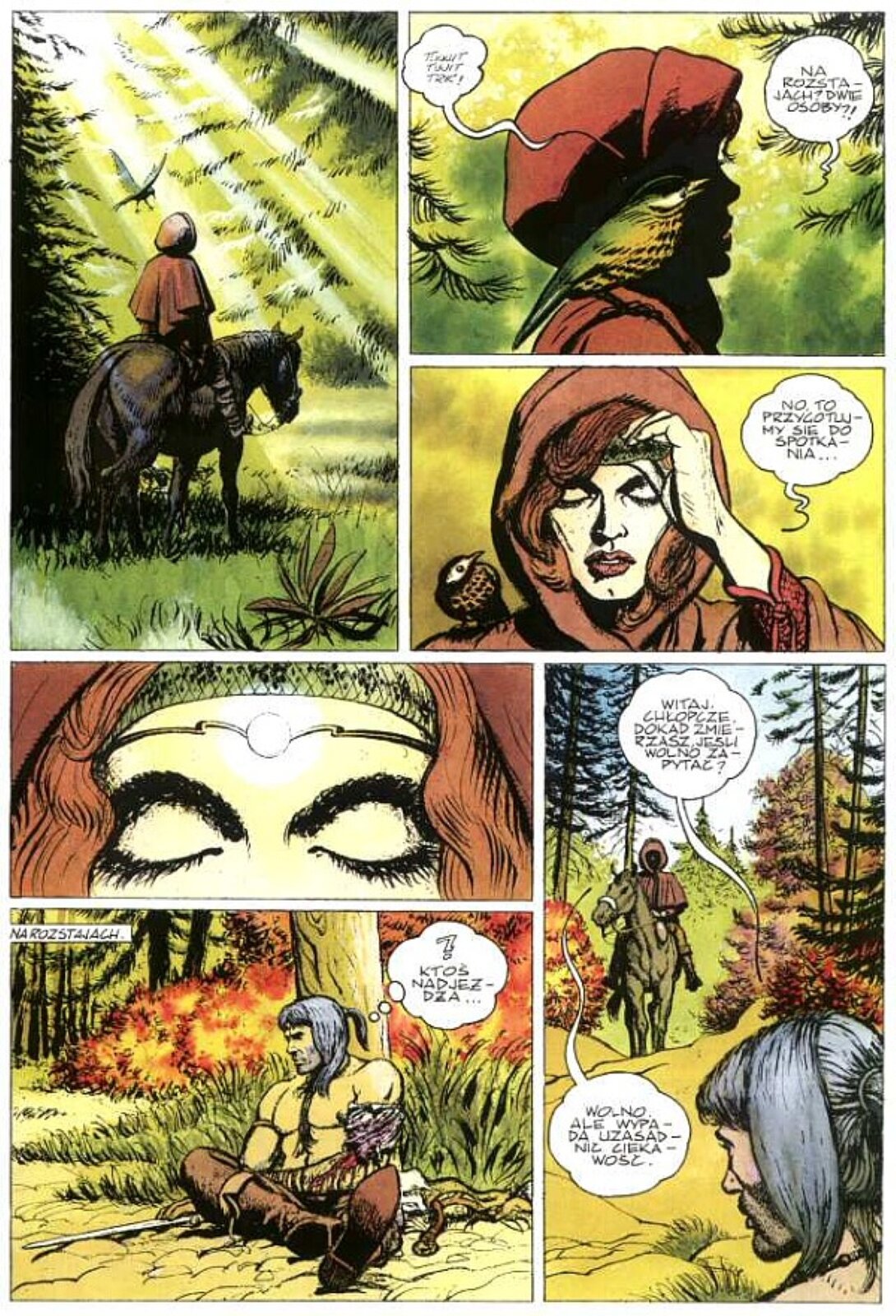 Komiks w formie ilustracji przedstawia kobietę jadącą konno. Kobieta spotyka rannego wiedźmina opierającego się o drzewo. Akcja komiksu rozgrywa się w lesie. W komiksie znajdują się dialogi w języku polskim.