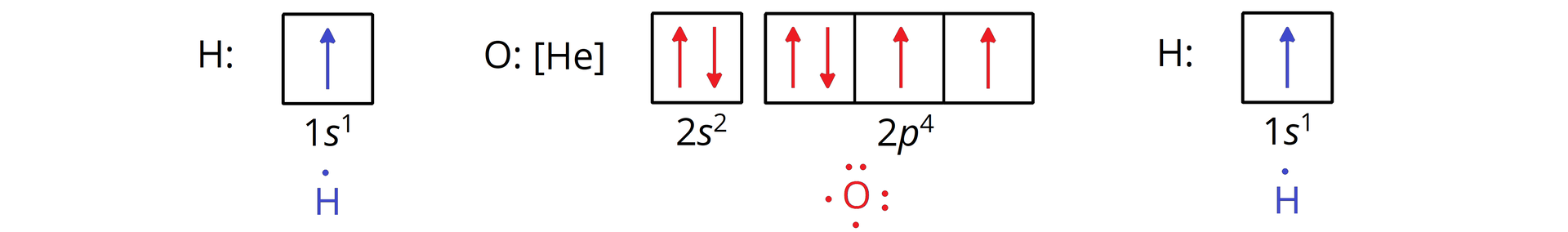 Ilustracja przedstawiająca zapis klatkowy dla dwóch atomów wodoru oraz atomu tlenu. Dla atomów wodoru H o konfiguracji 1s1, to znaczy posiadającego jeden elektron zapis stanowi jedna klatka, w której znajduje się jedna strzałka skierowana do góry, analogicznie dla drugiego atomu wodoru. Poniżej z prawej i z lewej strony ilustracji znajdują się wzory elektronowe kropkowe dwóch atomów wodoru. H kropka. Pomiędzy nimi przedstawiono skrócony zapis konfiguracji elektronowej atomu tlenu O o konfiguracji skróconej He2s22p4. Dla 2s2 jedna klatka, w której znajdują się dwie strzałki, pierwsza skierowana do góry, a druga do dołu. Dla 2p4 trzy klatki, w pierwszej znajdują się dwie strzałki, pierwsza skierowana do góry, a druga do dołu. W drugiej i trzeciej klatce znajduje się po jednej strzałce skierowanej do góry. Każda strzałka odpowiada jednemu elektronowi. Poniżej wzór elektronowy kropkowy dla atomu tlenu. Symbol tlenu O otoczony z dwóch stron przez dwie pary kropek, od góry i z prawej strony. A także przez dwie pojedyncze kropki (to jest niesparowane elektrony) z lewej strony i od dołu.