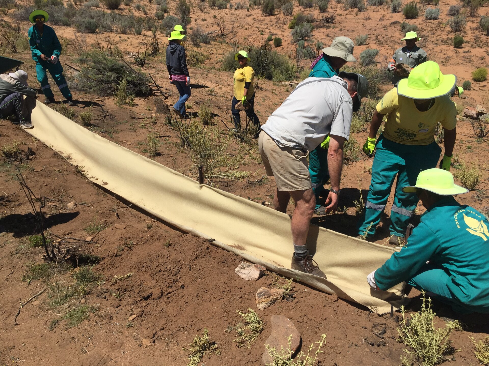 Zdjęcie przedstawia ludzi sadzących roślinności na stokach. Mają oni rozłożone specjalne geowłókniny, w których zrobią otwory na nowe sadzonki. Pracują na bardzo suchym podłożu.