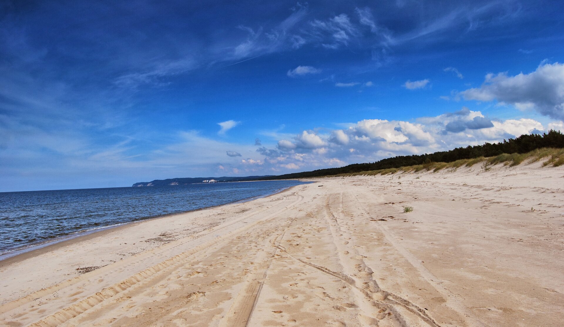 Fotografia barwna przedstawiająca niziny nadmorskie. Ilustracja przedstawia brzeg morza z piaszczystą plażą. Jest słoneczny dzień. 