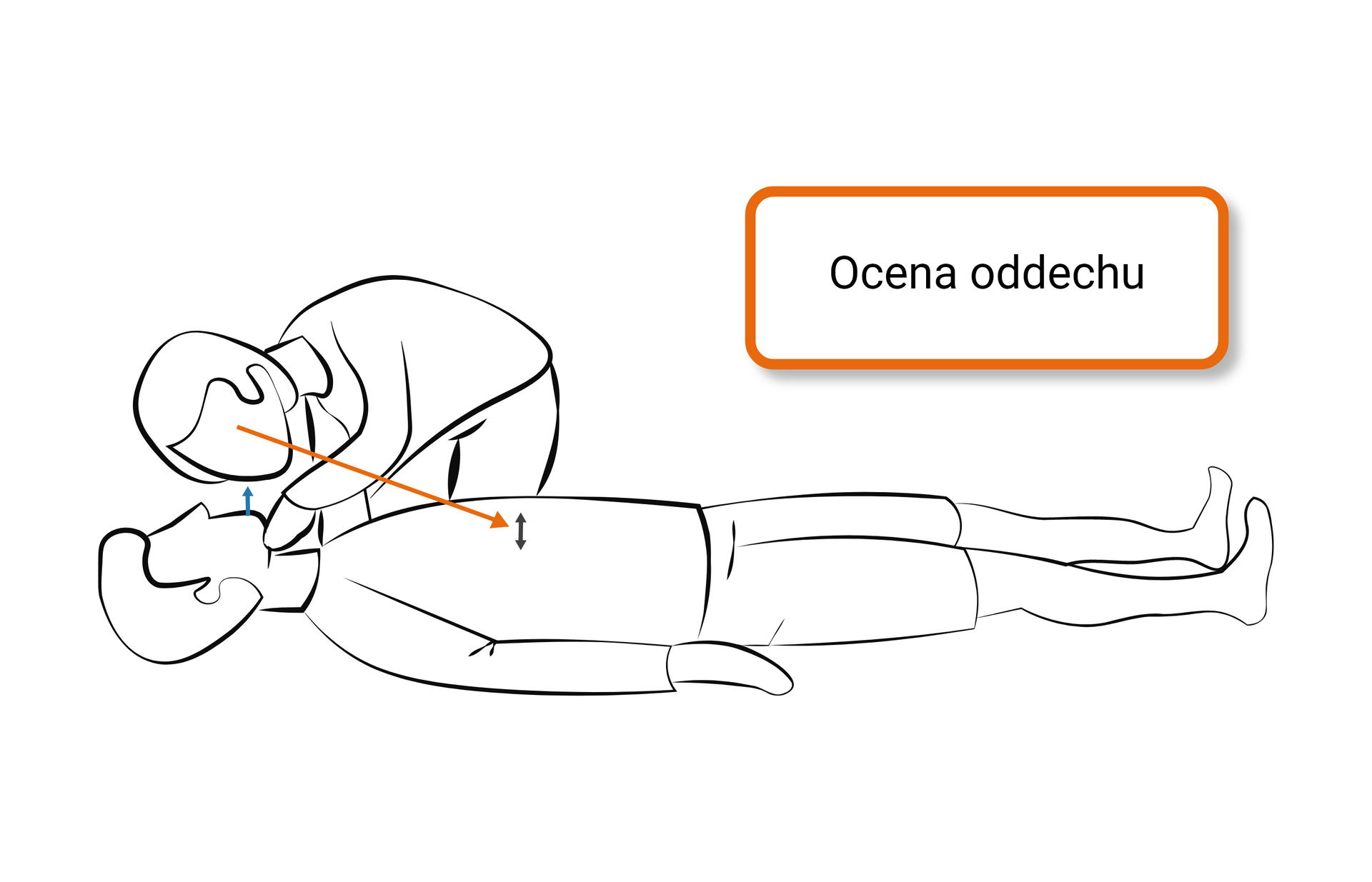 Na grafice zilustrowana ocena oddechu, z zaznaczeniem, aby obserwować klatkę piersiową, a policzkiem wyczuwać oddech na swojej skórze.