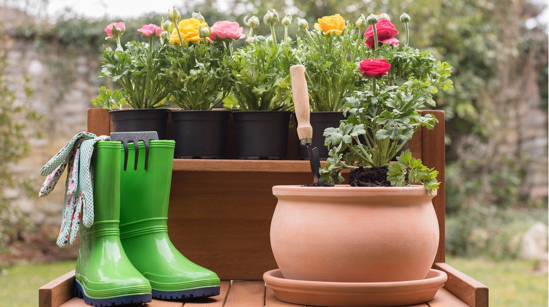 Zdjęcie przedstawia drewniany stolik, na którym są doniczki z kwiatami oraz para zielonych kaloszy. W kaloszach są kolorowe rękawiczki oraz grabki. W jednej z doniczek jest wbita w ziemię łopatka.