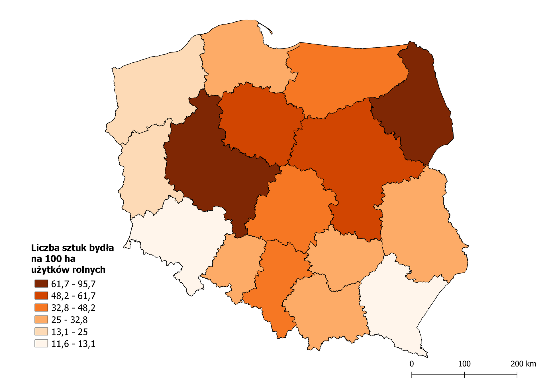 Mapa Polski przedstawia liczbę sztuk bydła na 100 hektarów użytków rolnych. Od 61,7 do 95,7 wystąpiło w województwie podlaskim i wielkopolskim. Od 48,2 do 61,7 wystąpiło w województwie mazowieckim i kujawsko pomorskim. Od 32,8 do 48,2 wystąpiło w województwie warmińsko mazurskim, łódzkim i śląskim. Od 25 do 32,8 wystąpiło w województwie pomorskim, lubelskim, świętokrzyskim, małopolskim i opolskim. Od 13,1 do 25 wystąpiło w województwie zachodniopomorskim i lubuskim. Od 11,6 do 13,1 wystąpiło w województwie dolnośląskim i podkarpackim.