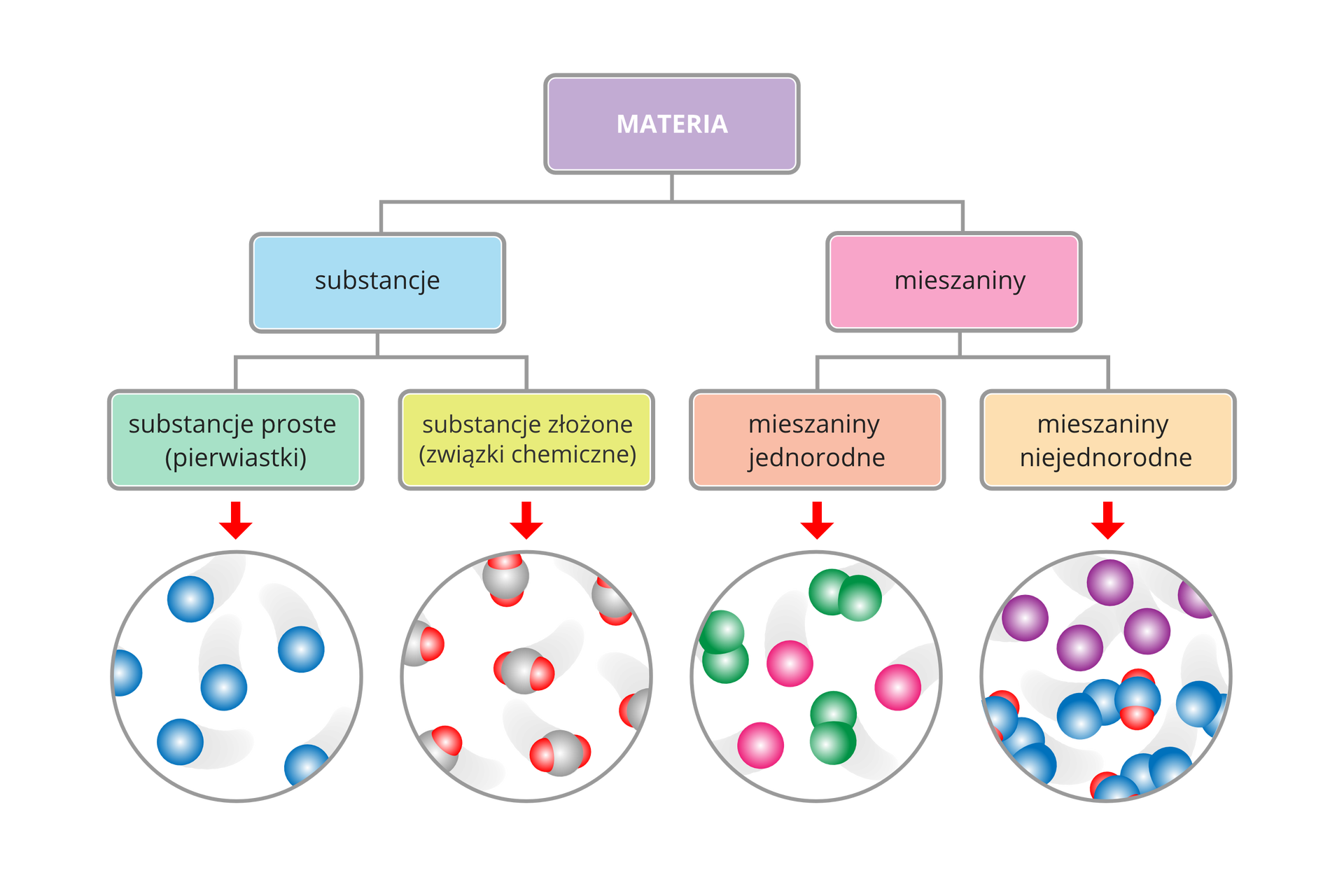 Na ilustracji zaprezentowano diagram przedstawiający podział materii ze względu na jej skład. Materię można podzielić na substancje i mieszaniny. Substancje mogą być proste (pierwiastki) lub złożone (związki chemiczne). Mieszaniny mogą być jednorodne lub niejednorodne. Pod diagramem znajdują się cztery koła ukazujące zbliżenie na poszczególne substancje i mieszaniny. Substancje proste przedstawiono w postaci niebieskich kulek. Substancje złożone to szare kulki. Do każdej szarej kulki są przyczepione dwie mniejsze, czerwone. Mieszaniny jednorodne przedstawiono w postaci pojedynczych różowych kulek oraz podwójnych zielonych kulek. Mieszaniny niejednorodne to pojedyncze fioletowe kulki oraz potrójne niebieskie kulki. Do każdej jednej z trzech niebieskich kulek są przyczepione dwie mniejsze, czerwone.