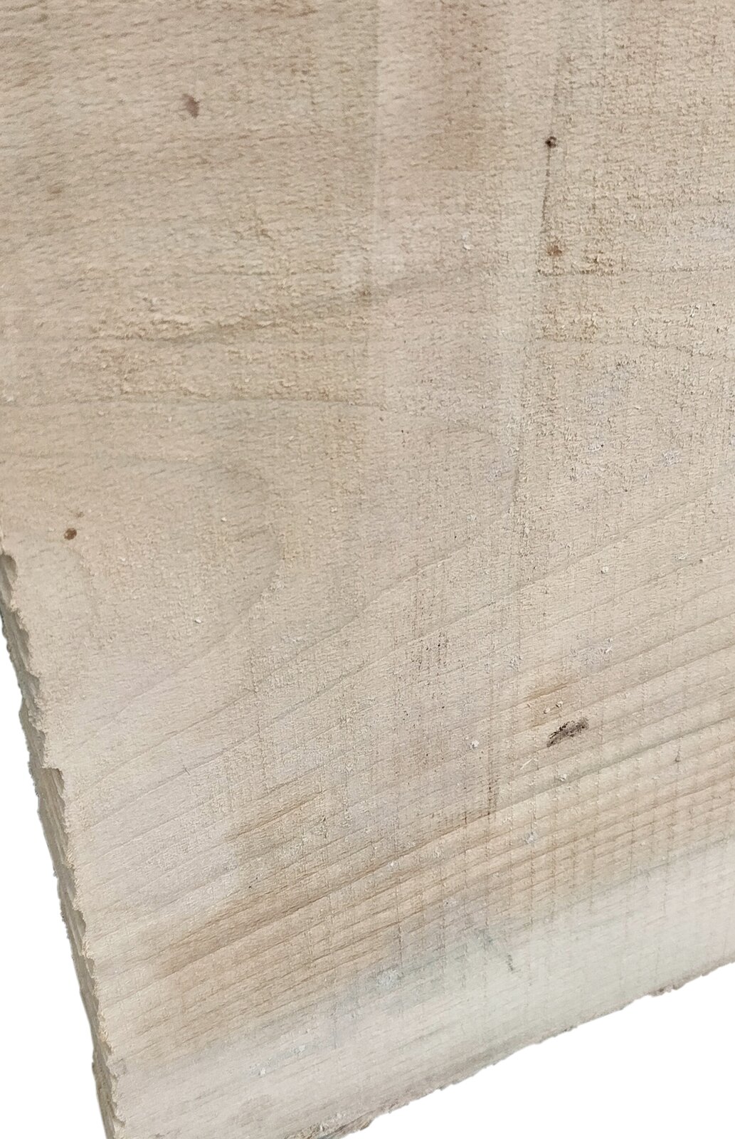 Zdjęcie przedstawia deskę bukową – drewno bukowe wykorzystywane np. do produkcji progów wiolinowych i mostków basowych w pianinach i fortepianach. Widoczna jest jasny fragment deska z ciemniejszymi słojami na powierzchni.