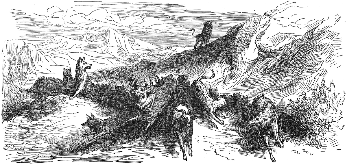 Grafika przedstawia zwierzęta. Lew stoi na wzniesieniu. Zwierzęta poniżej wzniesienia uciekają w różnych kierunkach.