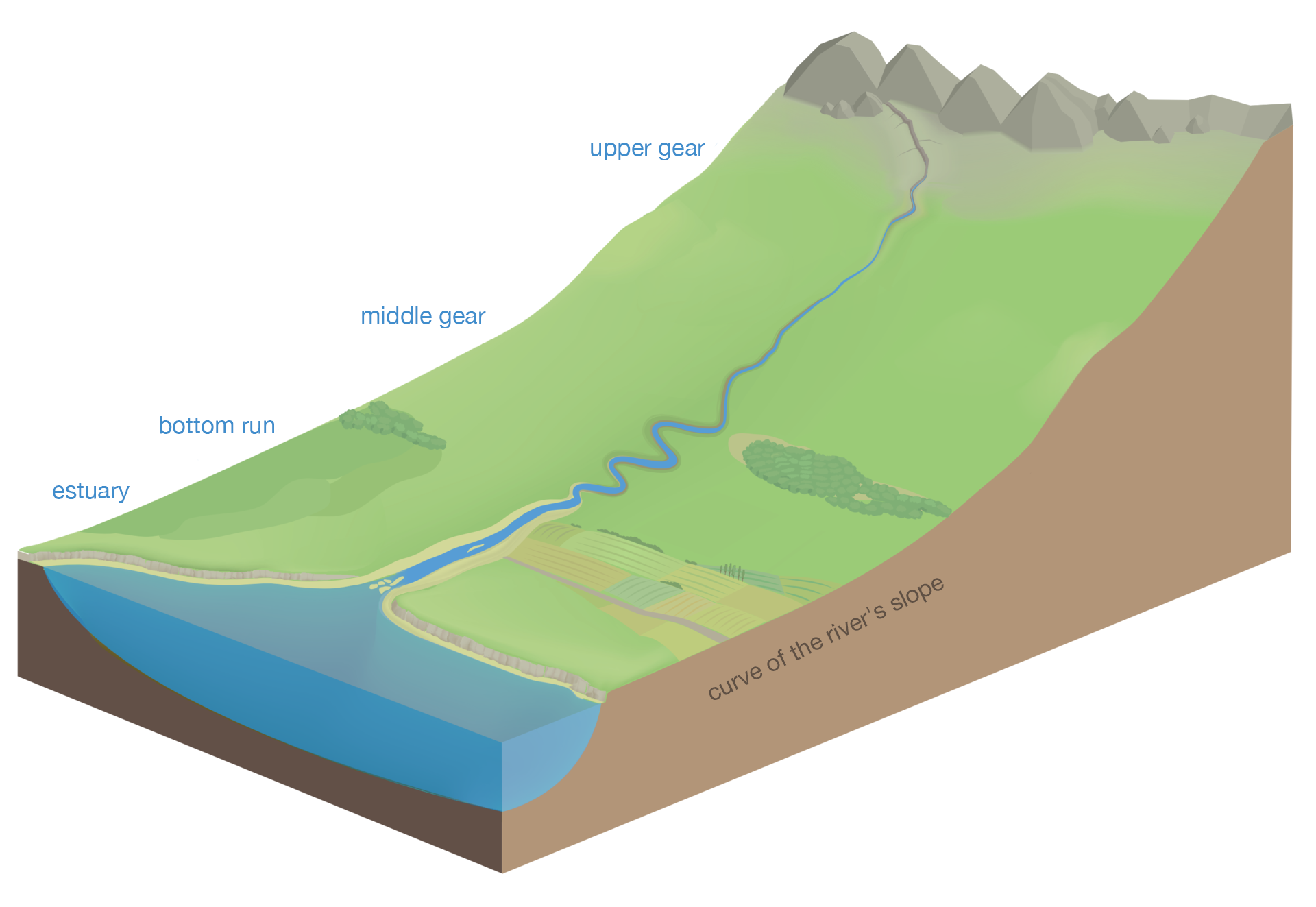 Grafika przedstawiająca bieg rzeki- od źródła do ujścia. Rzeka ma swoje źródło wysoko w górach, następnie płynie przez wyżyny i niziny, tworząc zakola. Rzeka płynie od górnego brzegu rzeki - upper gear, poprzez środkowy bieg rzeki - middle gear, do dolnego biegu rzeki - bottom run i ujścia - estuary. Na etapie końcowym wpada do morza.