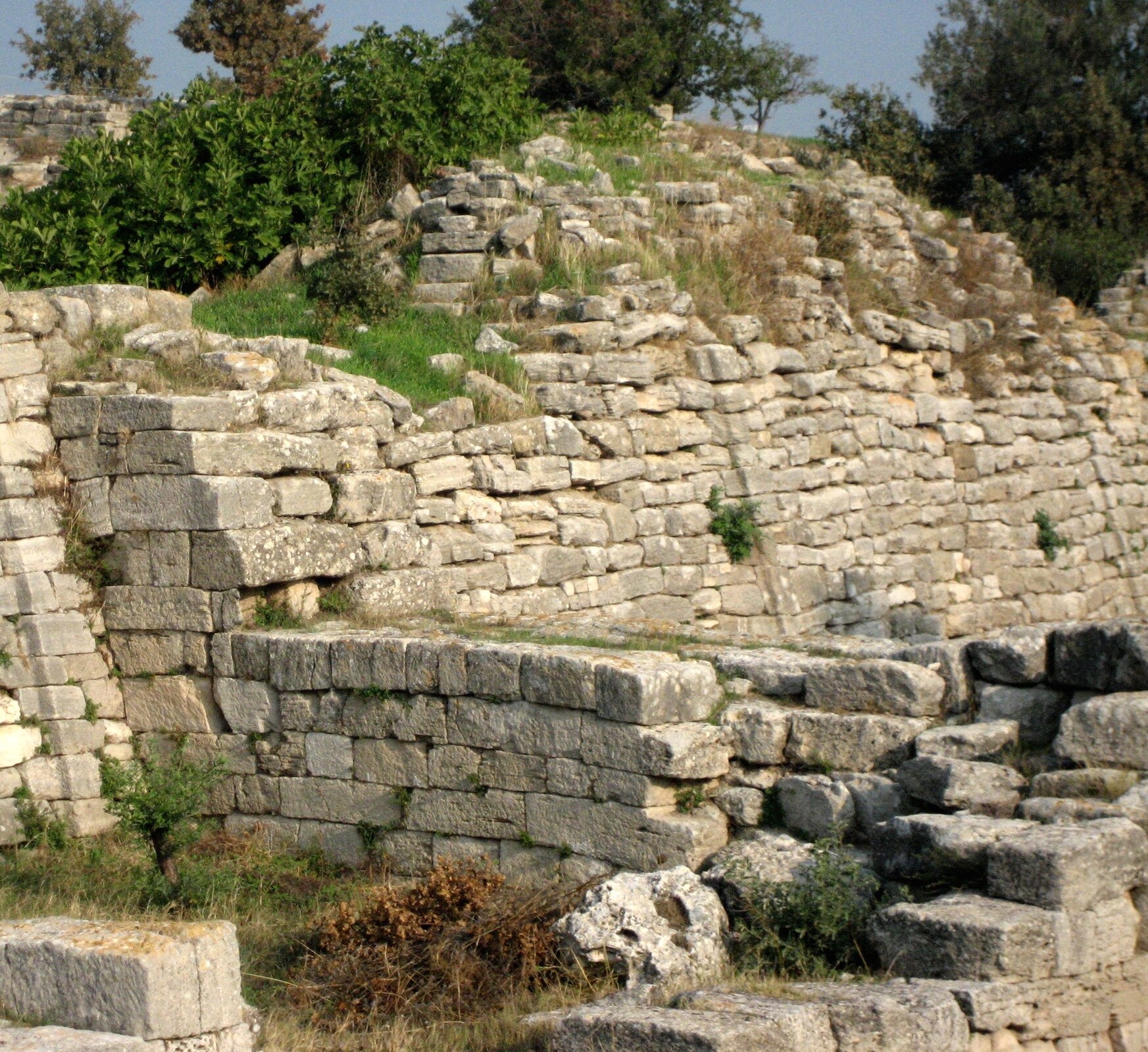 Zdjęcie przedstawia ruiny zabudowania z kamieni porośnięte trawą i krzewami.