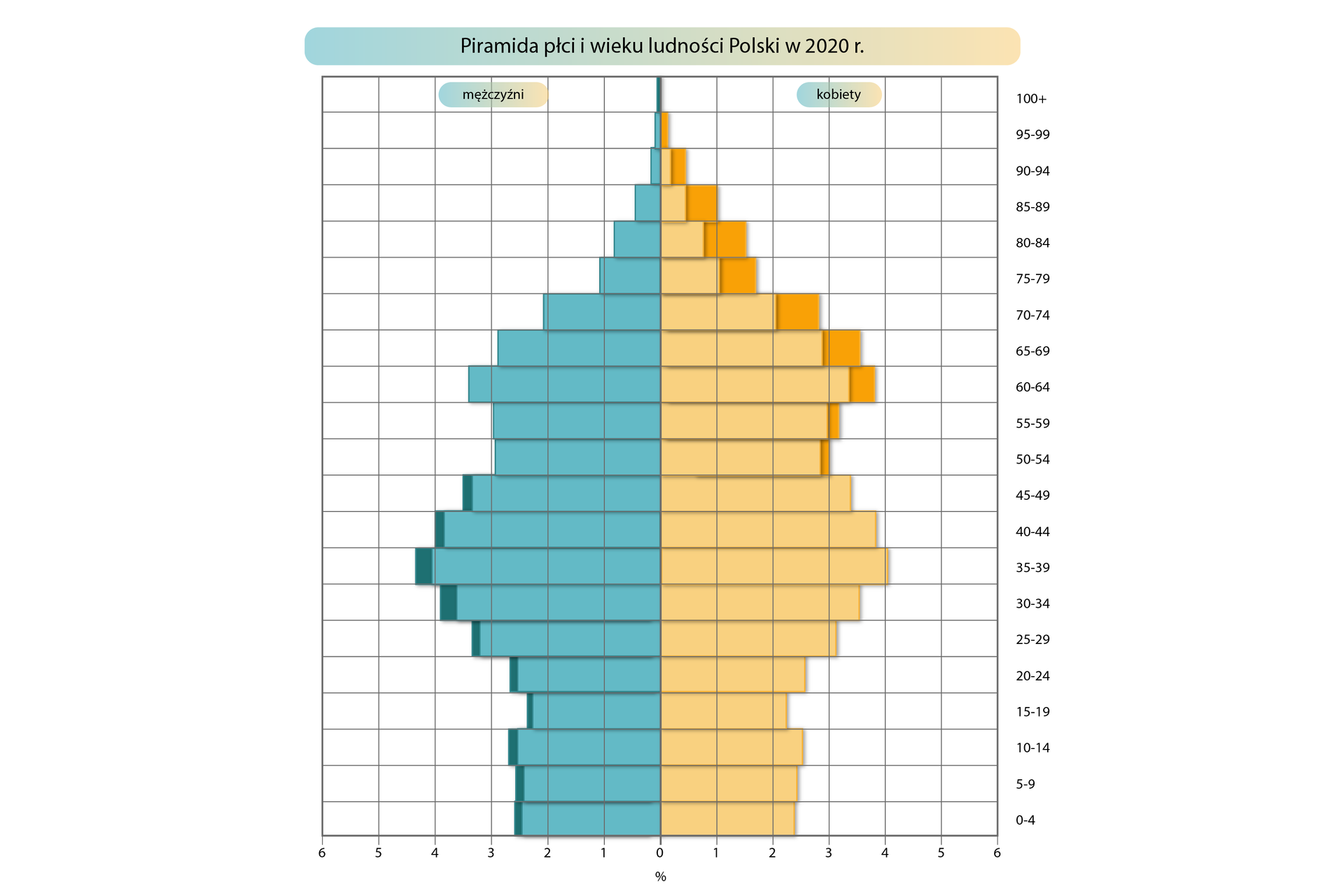 Piramida płci i wieku ludności Polski w dwa tysiące dwudziestym roku jest rozrysowana na siatce. Dolna pozioma oś oznacza liczbę ludności w procentach, od 0 w centralnym punkcie rośnie co 1% w lewą i prawą stronę do 5 procent. Oś pionowa oznaczona po prawej stronie określa grupy wiekowe: 0‑4, 5‑9, 10‑14, 15‑19, 20‑24, 25‑29, 30‑34, 35‑39, 40‑44, 45‑49, 50‑54, 55‑59, 60‑64, 65‑69, 70‑74, 75‑79, 80‑84, 85‑89, 90‑94, 95‑99, 100+. Piramida ma dwa kolory. Po lewej stronie wartości oznaczone są kolorem niebieskim dane mężczyzn, a po prawej – żółtym dane dla kobiet. Kolorem ciemnożółtym i ciemnoniebieskim oznaczone są różnice w danych dotyczących płci. Dolną część piramidy (oznaczającą najmłodsze grupy wiekowe) określa się jako podstawę, a górną (oznaczającą grupy najstarsze) - wierzchołek. Piramida płci i wieku ludności Polski w dwa tysiące dwudziestym roku ma dość wąską podstawę, dla grup wiekowych do dwudziestego czwartego roku życia wartości przybierają około 2,3%. Następnie zaczynają wzrastać do poziomu około 4% dla kobiet i 4,3% dla mężczyzn w grupie wiekowej 35‑39. W dalszych latach spadają do poziomu około 3% dla przedziału 50‑54. Dalej wzrastają do około 3,8% dla kobiet i 3,5% dla mężczyzn z grupy wiekowej 60‑64. W kolejnych latach spadają do marginalnych wartości w najstarszych grupach wiekowych. Dla grup do czterdziestego dziewiątego roku życia notowane są większe wartości jeśli chodzi o udział mężczyzn, średnio o około 0,2%, największe różnice dla grup 30‑39, sięgające około 0,3%. W grupach wiekowych od pięćdziesiątego roku życia przewaga kobiet. Znaczne wartości od sześćdziesiątego do osiemdziesiątego dziewiątego roku przewaga wynosi średnio 0,5%.