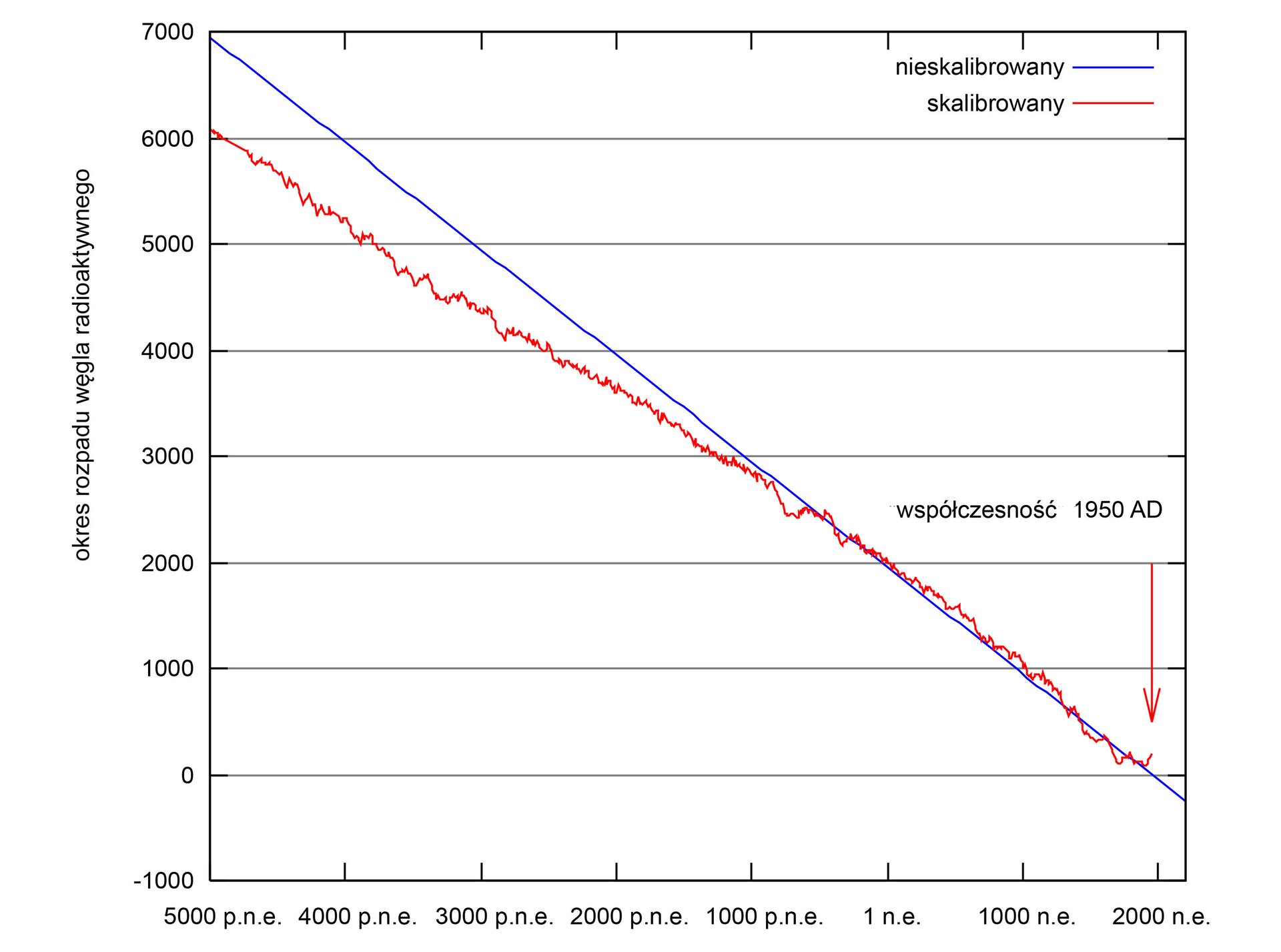 Wykres przedstawia krzywą kalibracji datowania radiowęglowego. Na osi Y zamieszczono okres rozpadu węgla radioaktywnego od - 1000 do 7000. Na osi X zamieszczono daty od 5000 p.n.e. do 2000 naszej ery. Krzywa skalibrowana. 5000 lat p.n.e. okres rozpadu radioaktywnego wynosił 6000. 1000 lat p.n.e. okres rozpadu węgla radioaktywnego wynosił 3000. Pierwszy rok naszej ery okres rozpadu węgla radioaktywnego wynosi 2000. 2000 naszej ery okres rozpadu węgla radioaktywnego wynosi około 100. Druga krzywa, nie skalibrowana nakłada się na krzywa skalibrowaną od roku 1000 p.n.e. W latach wcześniejszych krzywa nieskalibrowana pokazuje nieco wyższe wyniki okresie rozsądku węgla radioaktywnego. Na wykresie oznaczono moment współczesności 1950 AD. Okres rozpadu węgla radioaktywnego wynosi około 100.