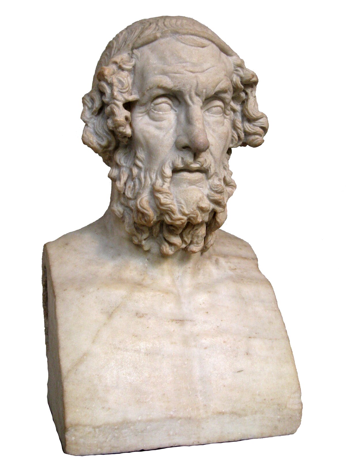 Kliknij aby powiększyć Rzeźba przedstawia starszego mężczyznę o zmarszczonym czole, lekko uniesionych brwiach. Jego oczy wydają się puste, usta są lekko rozchylone. Nos ma wydatny. Twarz pokrywa bujny zarost. Zakręcone w loki włosy są przewiązane cienką opaską, sięgają Homerowi do wysokości połowy policzków.