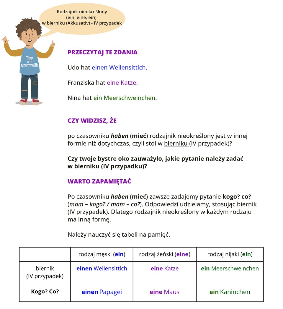 
Ilustracja zawiera poradę językową.
Grafika przedstawia chłopca w niebieskiej koszulce, na której widoczny jest napis: Tipp zur Grammatik. Obok widoczny jest dymek zawierający napis: rodzajnik nieokreślony (ein, eine, ein) w bierniku (Akkusativ) - czwarty przypadek.
Pozostałą część ilustracji stanowi tekst, którego treść wyświetla się w trybie dostępności.