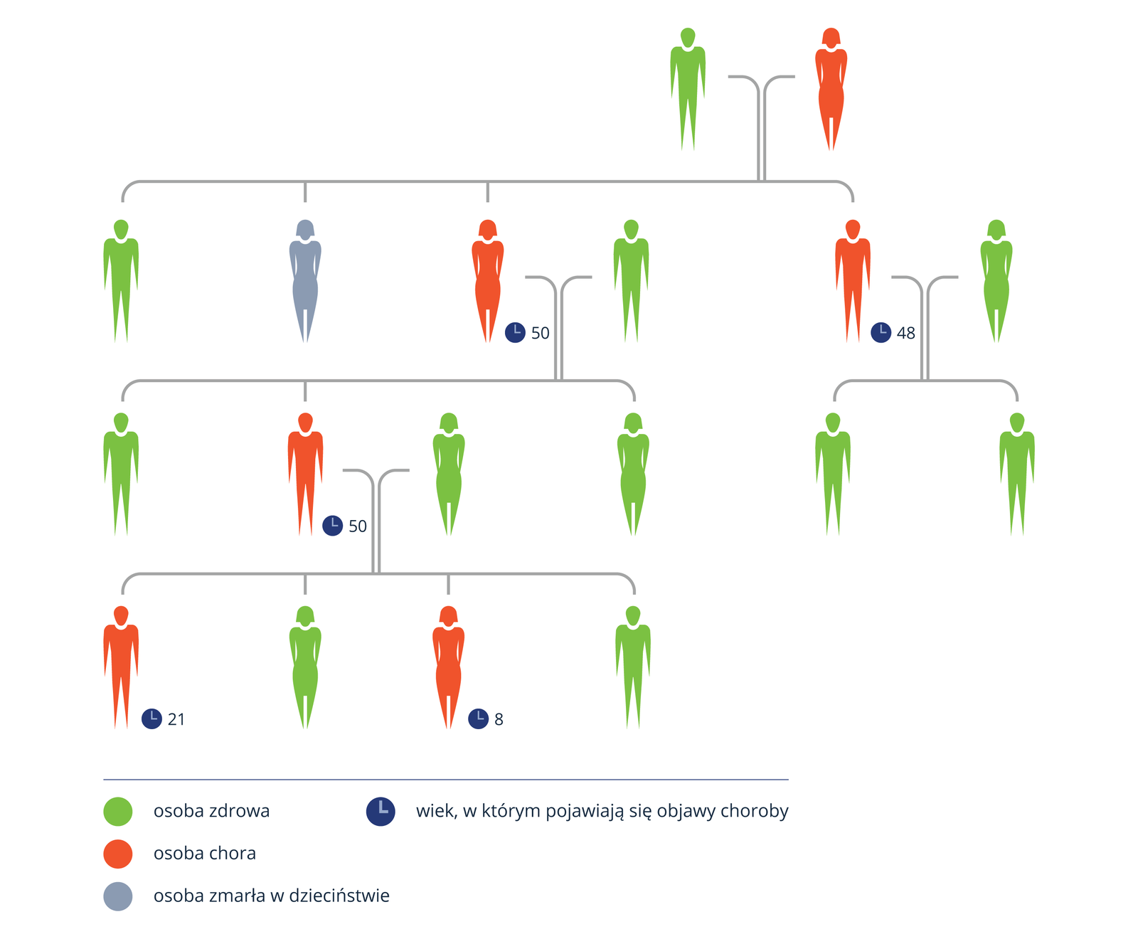 Schemat przedstawia, w jaki sposób dziedziczona jest pląsawica Huntingtona w przykładowej rodzinie. Kolorem zielonym oznaczono osobę zdrową, kolorem pomarańczowym osobę chorą, kolorem szarym osobę zmarłą w dzieciństwie. Mała tarcza zegara z liczbą obok przedstawia wiek, w którym zaczęły pojawiać się objawy choroby. Zdrowy mężczyzna i chora kobieta posiadają zdrowego syna, córkę, która zmarła w dzieciństwie, chorego syna, u którego w wieku 48 lat pojawiły się objawy choroby oraz chorą córkę, u której oznaki choroby pojawiły się w 50 roku życia. Chory syn posiada ze zdrową kobietą zdrowe potomstwo, dwóch synów. Natomiast chora córka posiada ze zdrowym mężem dwoje zdrowych dzieci- córkę i syna oraz jednego chorego syna, u którego objawy pląsawicy Huntingtona pojawiły się w 50 roku życia. Mężczyzna ten posiada ze zdrową kobietą czwórkę potomstwa: zdrową córkę, zdrowego syna oraz chorą córkę, u której objawy choroby pojawiły się w ósmym roku życia i chorego syna, który zaczął mieć objawy choroby w 21 roku życia.