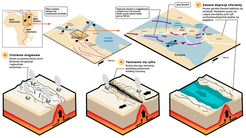 Na schematach przedstawiono etapy rozwoju ryftu afrykańskiego. Na pierwszym obrazku jest mapa Afryki. Zaznaczono płytę afrykańską - obejmującą niemal całą Afrykę, płyta afrykańska styka się na wschodzie z płytą somalijską. Na północnym wschodzie płyta afrykańska i somalijska styka się z płytą arabską. Na styku płyty rozsuwają się w przeciwnych kierunkach. Na kolejnym obrazku przedstawiono północno‑wschodnią Afrykę z Etiopią, Sudanem, Arabią Saudyjską. Strzałkami zaznaczono rozsuwanie się płyt. Opis: Płyta arabska odrywa się ostatecznie od Afryki. Na kolejnym obrazku jest zbliżenie na fragment mapy w miejscu rozsuwania się płyt, w okolicy Etiopii. Pomiędzy Etiopią a Erytreą i Dżibuti jest zbiornik wodny. Jest tam depresja afarska, która w najgłębszym miejscu ma 116 metrów pod poziomem morza. Może zostać zalana wodą już za 100 lat. W Erytrei zaznaczono góry Danakil. Na południu Assab. Erytrea i Dżibuti graniczą na wschodnim wybrzeżu z Morzem Czerwonym, Dżibuti dodatkowo z Zatoką Adeńską. Ląd Dżibuti na południu jest przerwany. Opisano: Zalanie depresji afarskiej. Pasmo gó®skie Danakil oddziela się od Afryki. Podobnie stanie się z płytą somalijską, jeśli ryft wschodnioafrykański będzie się pogłębiał. Na kolejnej ilustracji przedstawiono przekrój, na którym w dolnej części jest unosząca się ku powierzchni ziemi magma. Na powierzchni ziemi jest zbiornik wodny położony wzdłuż schematu. Po jego lewej i prawej stronie jest ląd. Na kolejnych dwóch schematach pokazano jak powstaje pęknięcie na lądzie pod unoszącą się magmą. Pęknięcie się pogłębia. Opisano: Ciśnienie magmowe. Działa na powierzchnię ziemi. Dochodzi do pęknięć i wybuchów wulkanów. Tworzenie się ryftu. Ruchy skorupy ziemskiej powodują powstanie wielkiej szczeliny. W efekcie - jak widać na schemacie - szczelina zostaje zalana woda.      