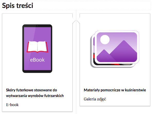 Grafika przedstawia fragment spisu treści. Spis składa się z dwóch ramek. W lewej ramce schematyczny rysunek czytnika e‑booków. Poniżej tytuł: Skóry futerkowe stosowane do wytwarzania wyrobów futrzarskich. E‑book. W ramce po prawej stronie rysunek dwóch zdjęć. Poniżej tytuł: Materiały pomocnicze w kuśnierstwie. Galeria zdjęć.  