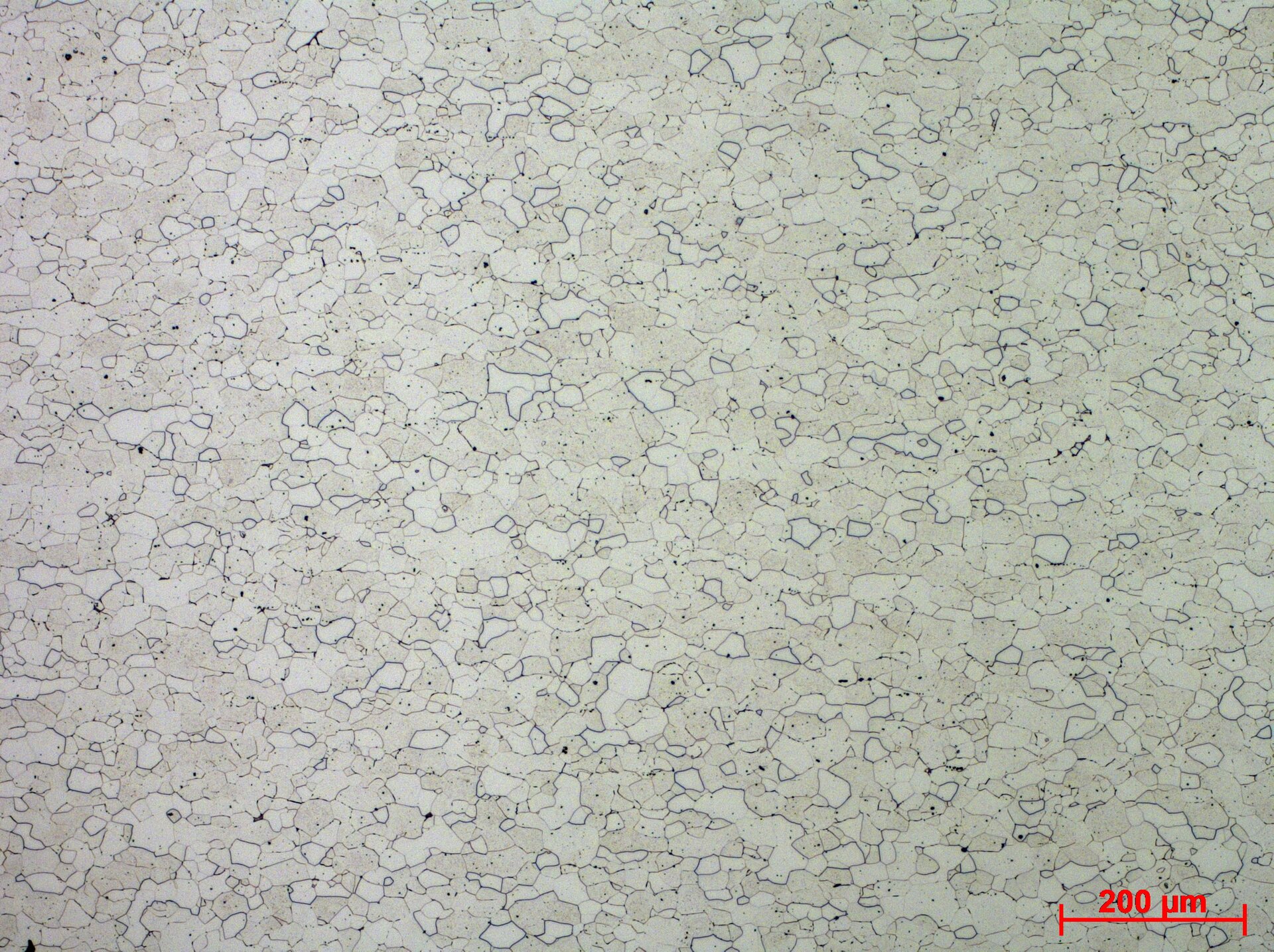 Żelazo Armco o zawartości węgla mniejszej od 0,02%
Ferryt z wytrawionymi granicami ziaren - powiększenie 10x