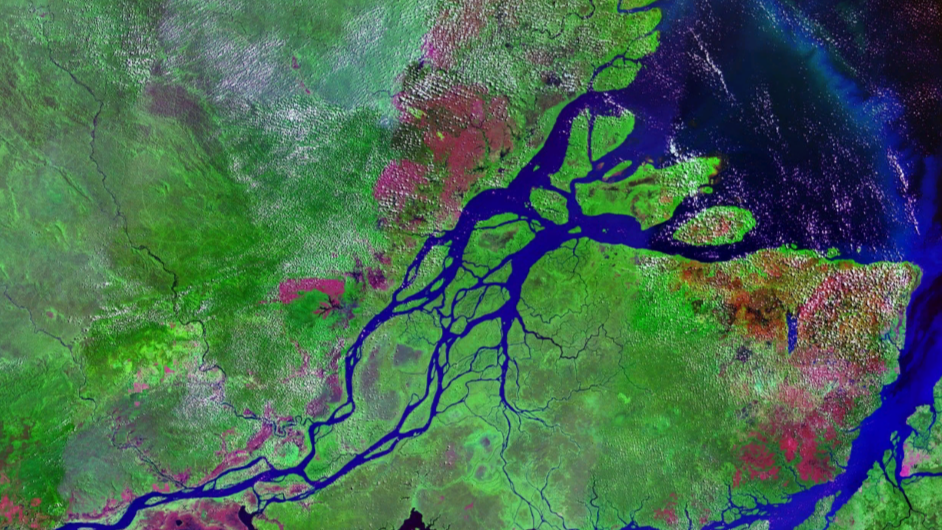 Fotografia satelitarna przedstawiająca ujście Amazonki. Ujście ma postać rozległej delty z licznymi, oddzielonymi od siebie ramionami.