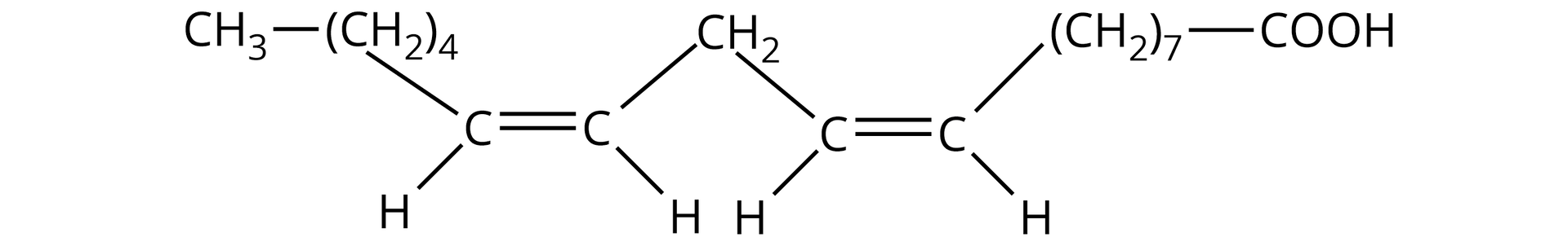 Ilustracja przedstawia rozbudowany wzór półstrukturalny kwasu linolowego. Łańcuch główny zbudowany jest z czterech atomów węgla. Atomy węgla w parze łączą się wiązaniem podwójnym. Na dole każdy atom węgla łączy się z atomem wodoru. Wewnętrzne atomy węgla na górze łączą się z jedną wspólną dla nich grupą metylenową. Atom węgla, leżący we wzorze po lewej stronie, łączy się na górze z grupą metylową. Ta z kolei łączy się z grupą metylenową cztery razy wziętą. Atom węgla, leżący po prawej stronie wzoru, łączy się na górze z grupą metylenową siedem razy wziętą. Ta zaś łączy się z grupą COOH.   