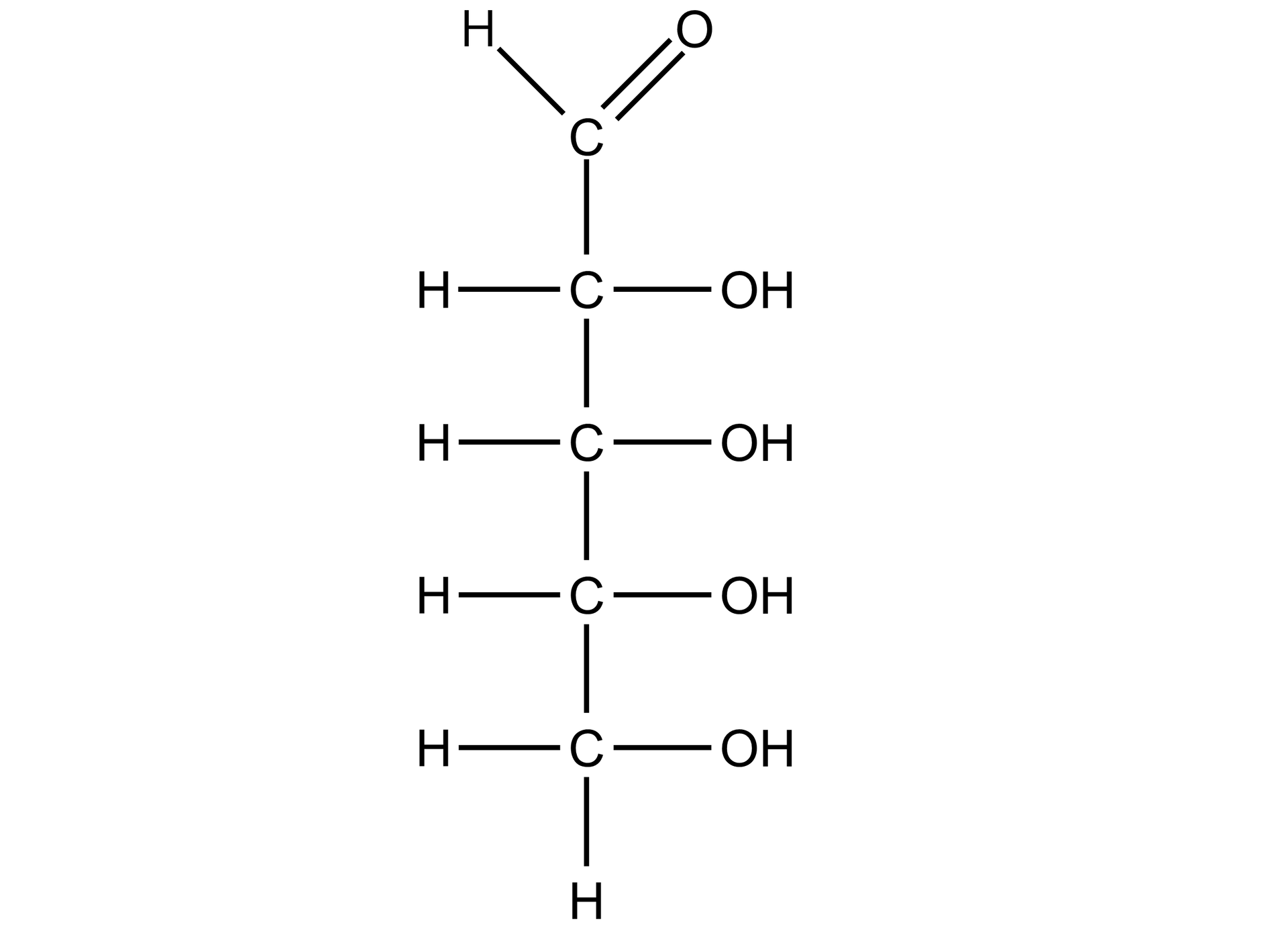 Na ilustracji wzór strukturalny rybozy. Łańcuch główny jest pionowy. Zbudowany jest z pięciu atomów węgla. Atom węgla na samej górze łańcucha łączy się wiązaniem pojedynczym z atomem wodoru, wiązaniem podwójnym z atomem tlenu. Kolejne trzy atomy węgla łączą się po lewej stronie z atomem wodoru, każdy z nich, a po prawej z grupa OH, każdy z nich. Ostatni atom węgla łączy się po lewej stronie z atomem wodoru, po prawej z grupą OH, na dole z atomem wodoru. 