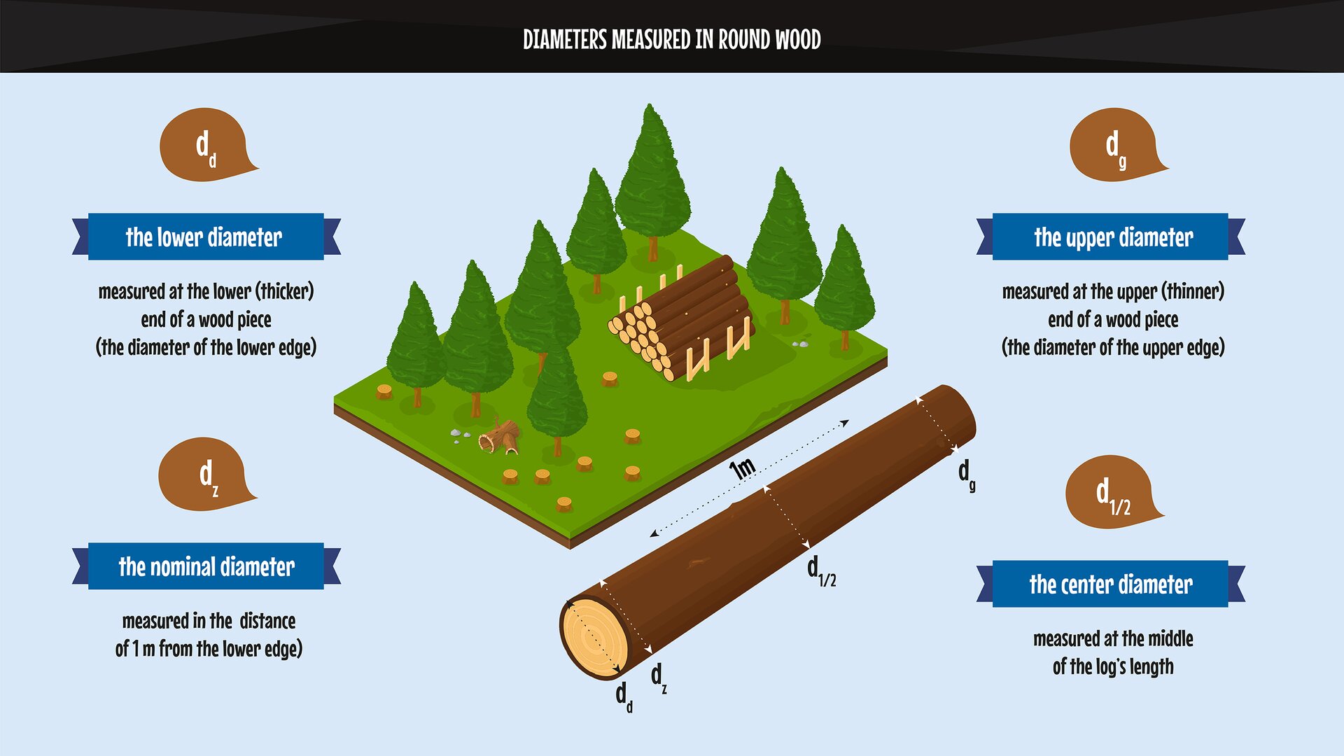 The photo presents the methods of measuring diameters when the wood is irregular. Grafika przedstawia sposoby mierzenia średnic, gdy drzewo jest nieforemne.