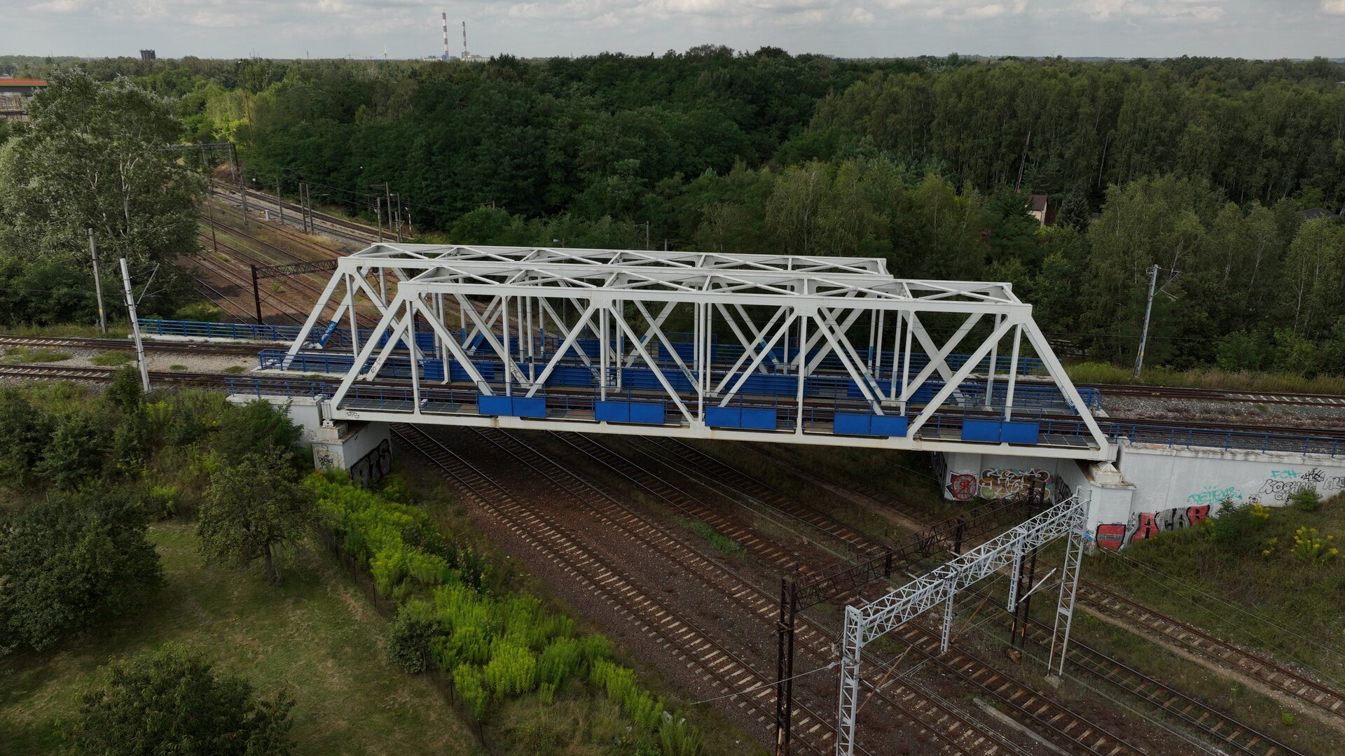 Zdjęcie przedstawia wiadukt stalowy o konstrukcji belkowej. Konstrukcja stalowa jest biała, a barierki na wiadukcie mają kolor niebieski. Na wiadukcie znajdują się dwa tory, podczas gdy pod nim biegnie pięć torów. W tle widoczny jest las.