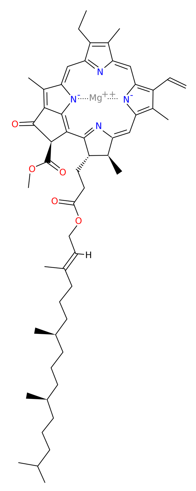 Ilustracja przedstawiająca strukturę chlorofilu A, będącego związkiem kompleksowym. Atom centralny stanowi magnez na drugim stopniu utlenienia. Związany jest on z czterema pierścieniami pirolu, czyli heteroaromatycznymi pięcioczłonowymi pierścieniami z wbudowanym atomem azotu oraz dwoma wiązaniami podwójnymi pomiędzy atomami węgla. Pierścienie pirolowe połączone są ze sobą mostkami metinowymi, to jest grupami CH, od których z jednej strony odchodzi wiązanie pojedyncze, zaś z drugiej podwójne. Pierścienie pirolowe są modyfikowane różnymi grupami, w tym grupami metylowymi, etylowymi, winylowymi, pierścieniem 2‑karkoksylocyklopentanonu metylu, a także łańcuchem fitolowym, to jest 2E,7R,11R-3,7,11,15-tetrametylo‑2-heksadeken‑1-ol.