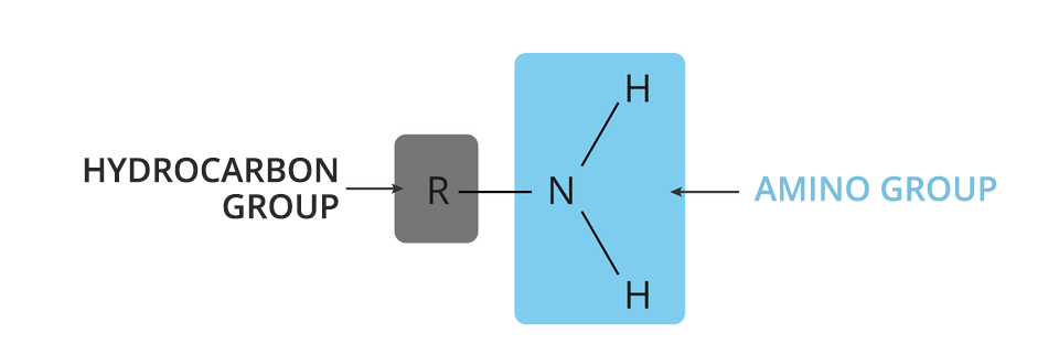 Grafika przedstawia wzór ogólny amin pierwszorzędowych. General formula of amines. Od lewej napis HYDROCARBON GROUP strzałka w prawo, litera R na małym prostokącie, kreska w prawo, Wiązanie N z dwoma H na dużym prostokącie. Strzałka w lewo wskazująca na duży prostokąt przy niej podpis AMINO GROUP