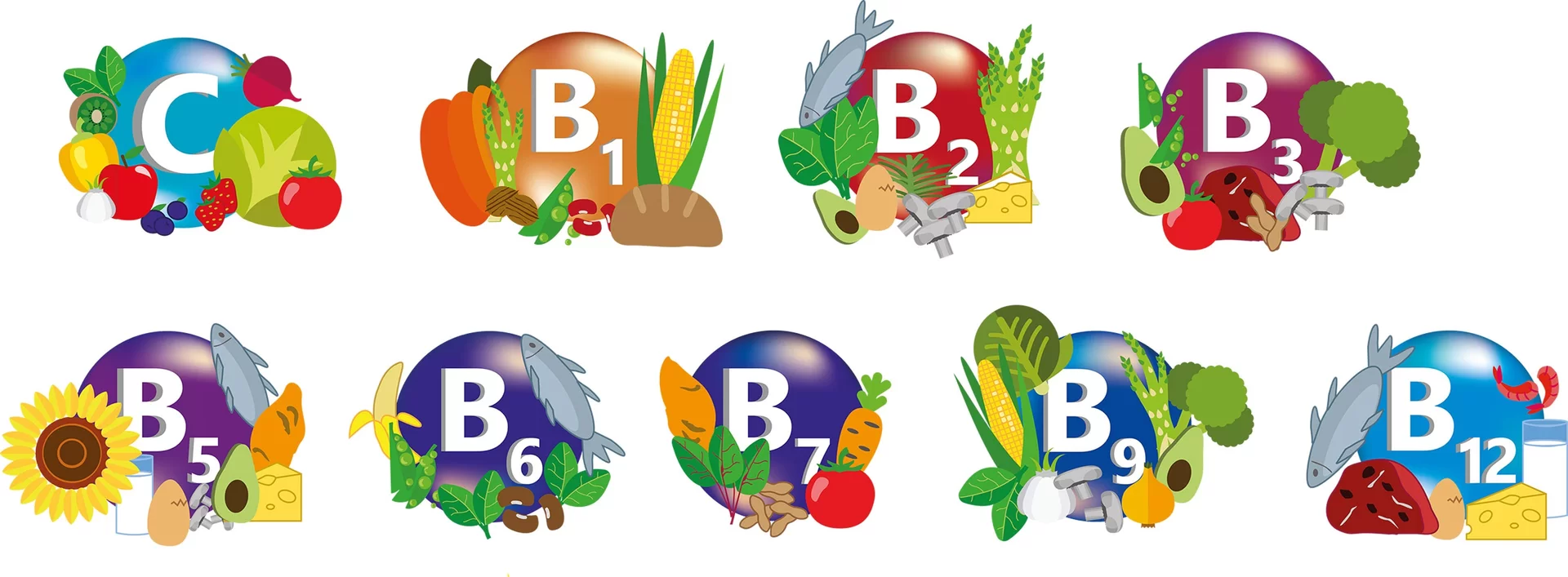 Rysunek przedstawia witaminy rozpuszczalne w wodzie: C, na rysunku kiwi, pomidor, jabłko, truskawka, kapusta, burak, żółta papryka, czosnek. B1, na rysunku dynia, szparagi, orzechy włoskie, zielony groszek, czerwona fasola, chleb, kukurydza. B2, na rysunku ryba, awokado, jajko, rozmaryn, grzyby, szparagi. B 3, na rysunku awokado, zielony groszek, pomidory, arbuz, orzeszki ziemne, grzyby, brokuły. B 5, na rysunku słonecznik, mleko, jajka, grzyby, awokado, żółty ser, łosoś, ryby. B 6, na rysunku banany, zielony groszek, fasola, ryby, bazylia. B 7, na rysunku marchewka, pomidory, buraki, pomidor. B9, na rysunku kukurydza, czosnek, grzyby, cebula, awokado, brokuł, szparagi. B12, na rysunku ryby, mięso, jajka, żółty ser, mleko, krewetki.