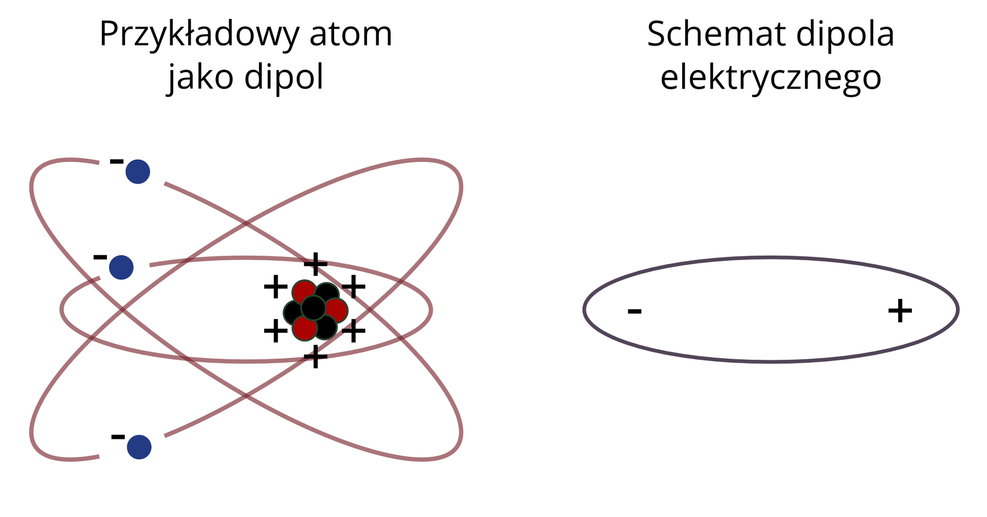Ilustracja przedstawia dwa rysunki dotyczące budowy atomu.  Pierwszy znajduję się z lewej strony. Znajduje się na niej przykładowy atom jako dipol, a więc ciężkie jądro atomowe składające się z protonów naładowanych dodatnio i neutronów. Wokół jądra na orbitach krążą naładowane ujemnie elektrony. Elektrony przesunięte są względem jądra w lewo, ponieważ z zewnątrz działa na nie siła przyciągająca z lewej, albo odpychająca z prawej strony. Drugi rysunek obrazuje schemat dipola elektrycznego. Jest to owal otaczający z jednej strony minus, a z drugiej plus.