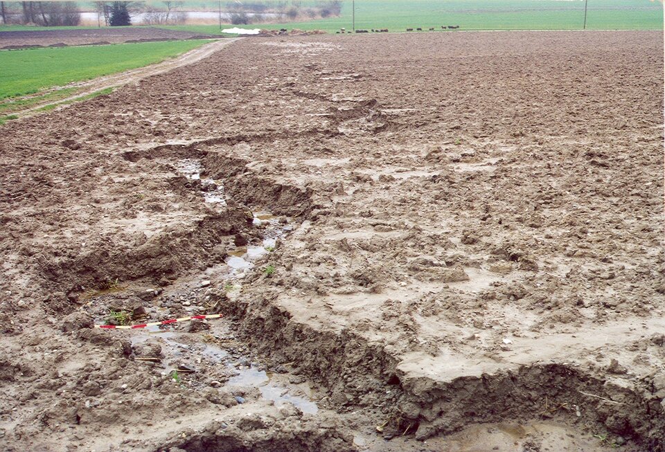 Zdjęcie przedstawia erozję liniową formującą bruzdy erozyjne na polu uprawnym.
