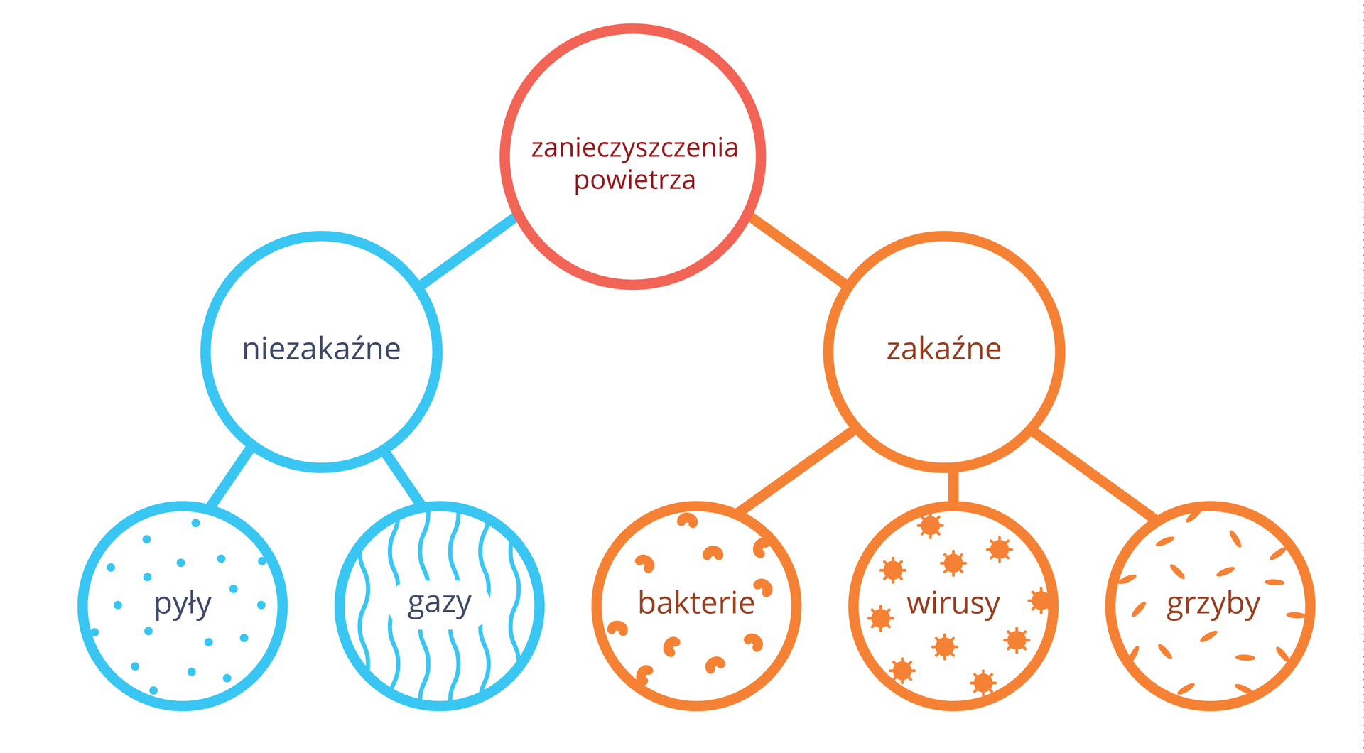 Schemat przedstawia klasyfikację zanieczyszczeń powietrza w formie kolorowych kół. Napis w czerwonym kole: zanieczyszczenia powietrza. Od niego w lewo błękitne koło z napisem: niezakaźne. Od niego dwa koła, z kropkami: gazy i z liniami: pyły. W prawo pomarańczowe koło z napisem: zakaźne. Od niego trzy koła, symbolizujące: z fasolkami bakterie, z gwiazdkami wirusy i z pałeczkami grzyby.