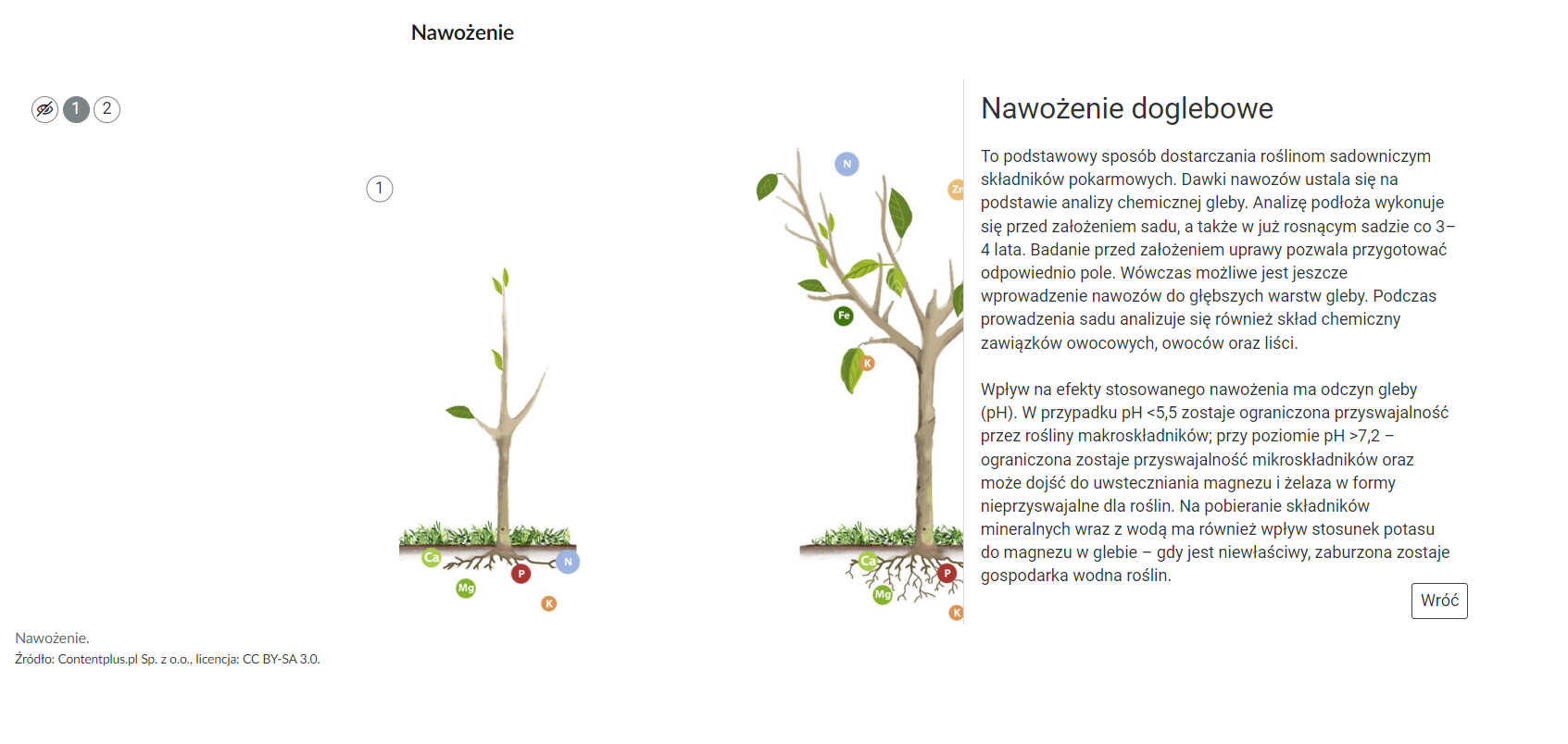Przykładowy widok planszy interaktywnej. Na górze znajduje się napis: Nawożenie. Na białym tle widoczne są dwa główne elementy. Pierwszy to rysunek małego drzewka. Po jego lewej stronie, w górnym rogu, znajdują się trzy kółka. Pierwszy to przekreślone oko na białym tle, kółko ma szary kolor. Drugie kółko jest szare, a w środku ma białą cyfrę 1. Trzecie kółka jest białe z ciemniejszą obwódką, w środku znajduje się szara cyfra 2. Pod drzewkiem, przy konarach, znajdują się kolorowe kółka z literami P, K, N, Ca i Mg oznaczającymi składniki mineralne. Drugi główny element to drzewo po prawej, większe i bardziej rozwinięte. Przy korzeniach znajdują się te same składniki mineralne, natomiast są one też zaznaczone między liśćmi. Tutaj występują takie oznaczenia składników mineralnych jak: N,  K, Fe, Zn. Na połowie drzewa po prawej stronie znajduje się biała ramka z napisem: Nawożenie doglebowe. Pod napisem znajduje się tekst opisujący tę sekcję.