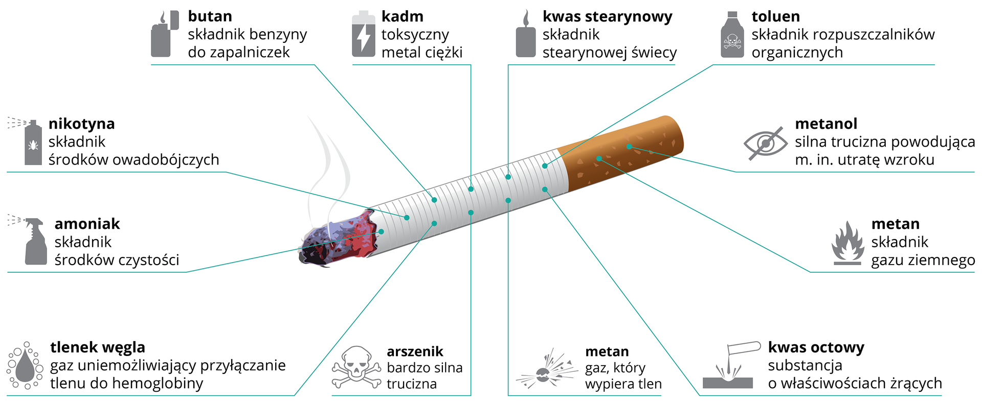 Ilustracja przedstawia ukosem żarzący się biały papieros z pomarańczowym ustnikiem. Od niego niebieskie linie prowadzą do opisu i obrazka przykładowych substancji, zawartych w dymie papierosowym. Od góry od lewej: butan (składnik benzyny do zapalniczek), kadm (toksyczny metal ciężki), kwas stearynowy (składnik stearynowej świecy), toluen (składnik rozpuszczalników organicznych), metanol (silna trucizna powodująca m.in. utratę wzroku), metan (składnik gazu ziemnego), kwas octowy (substancja o właściwościach żrących), metan (gaz, który wypiera tlen), arszenik (bardzo silna trucizna), tlenek węgla (gaz uniemożliwiający przyłączanie tlenu do hemoglobiny), amoniak (składnik środków czystości), nikotyna (składnik środków owadobójczych).