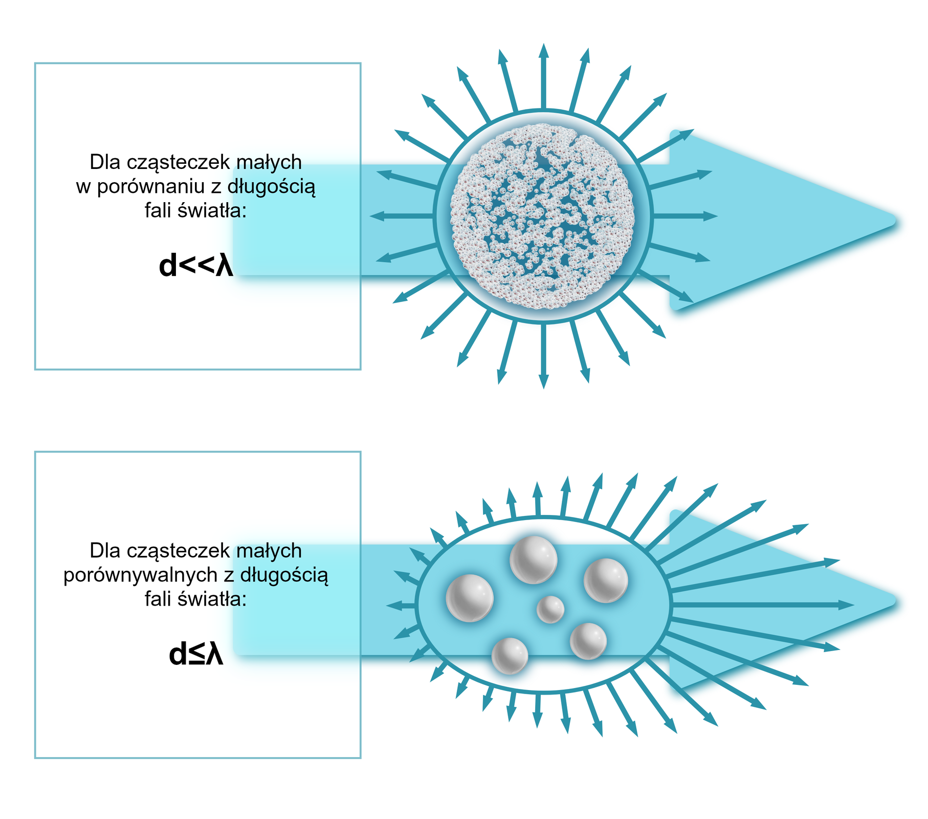 Ilustracja przedstawia sposób rozpraszania światła. Na jednej ilustracji koło wypełniają drobne kuleczki. Przez koło przechodzi strzałka - skierowana z prawo. To  źródło światła. Dookoła koła są krótkie strzałki równej długości. Opis: dla cząstek małych w porównaniu z długością fali światła:         d      &lt;&lt;   λ . Drugi obrazek przedstawia owal, w którym jest sześć dosyć dużych kulek. Padające światło sprawia, że po lewej stronie dookoła owalu są krótkie strzałki, wydłużają się po prawej stronie owalu. Opis: dla cząsteczek małych porównywalnych z długością fali światła         d      ≤   λ .       