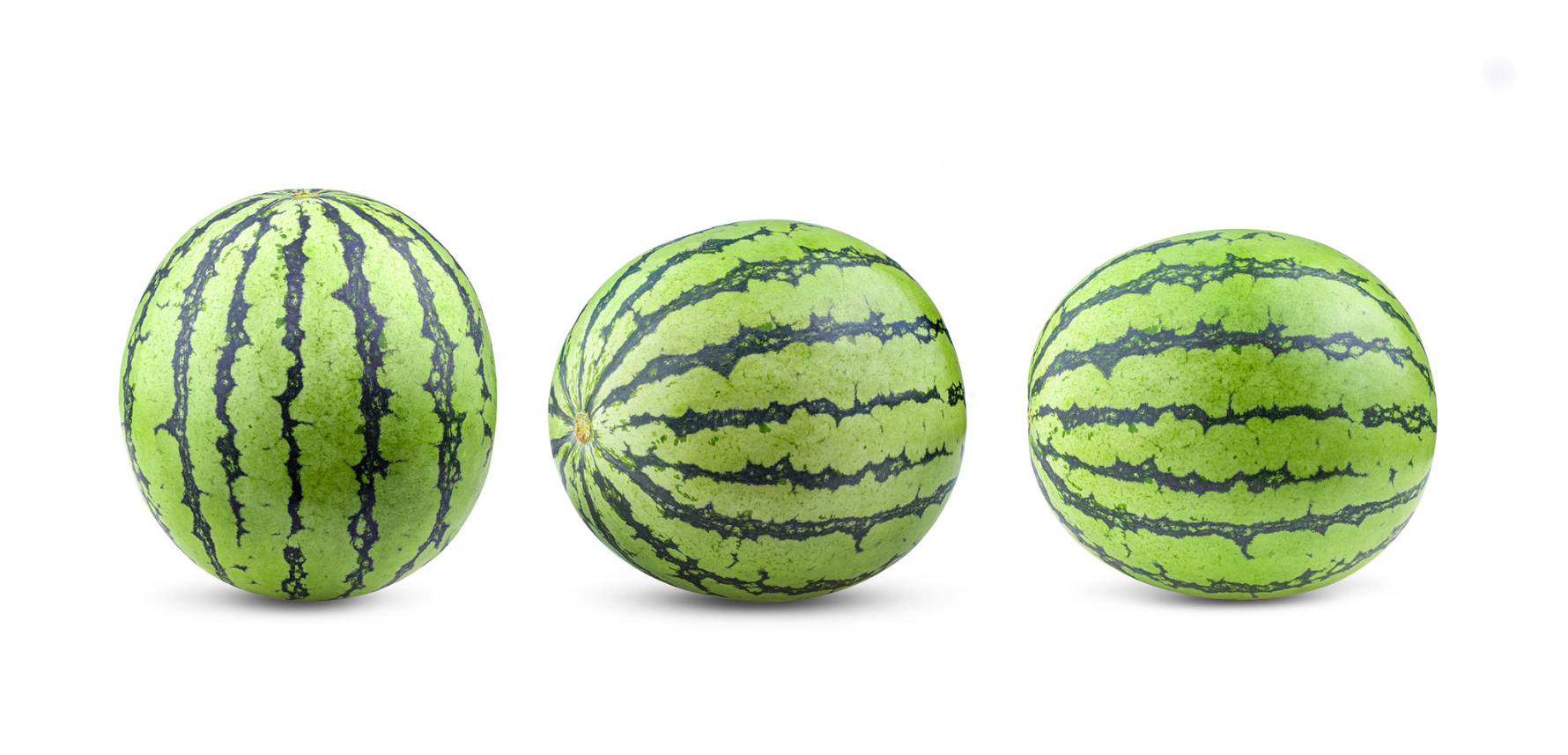 Ilustracja przedstawia trzy tej samej wielkości arbuzy ułożone w niewielkich odstępach obok siebie. Arbuzy mają na powierzchnię w pasy.