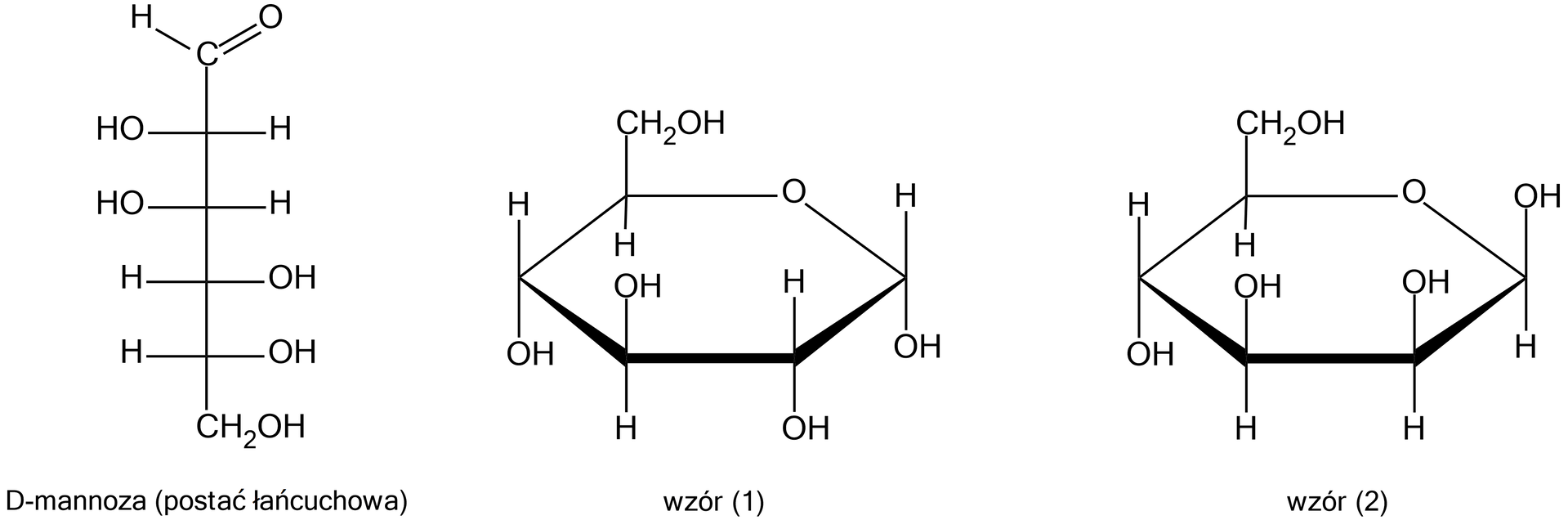 Ilustracja przedstawiająca trzy wzory. Wzór łańcuchowy D‑mannozy. Zbudowany jest z sześciu atomów węgla. Pierwszy atom węgla łączy się wiązaniem podwójnym z atomem tlenu i wiązaniem pojedynczym z atomem wodoru, drugi i trzeci atom węgla łączy się po lewej stronie z grupą O H, po prawej z atomem wodoru. Czwarty i piąty atom węgla - każdy z nich - łączy się po lewej stronie z atomem wodoru, a po prawej z grupą O H. Szósty atom węgla wchodzi w skład grupy C H indeks dolny 2 koniec indeksu dolnego O H. Wzór (1) to sześcioczłonowy pierścień. Atomy węgla łączą się z atomami wodoru i grupami O H. Szósty atom węgla wchodzi w skład grupy C H indeks dolny 2 koniec indeksu dolnego O H. Pierwszy atom węgla łączy się na dole z grupą O H, a na górze z atomem wodoru., Wzór (2): to sześcioczłonowy pierścień. Atomy węgla łączą się z atomami wodoru i grupami O H. Szósty atom węgla wchodzi w skład grupy C H indeks dolny 2 koniec indeksu dolnego O H. Pierwszy atom węgla łączy się na dole z atomem wodoru, a na dole z atomem wodoru.