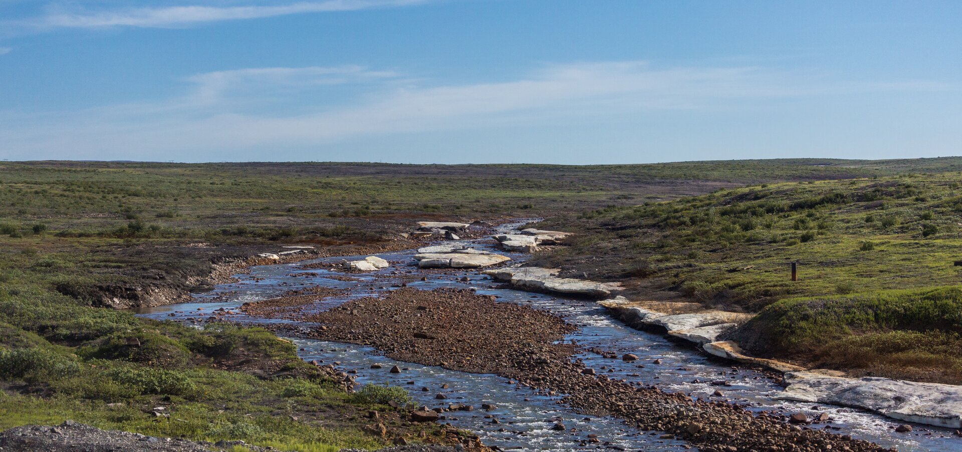 Zdjęcie przedstawia rzekę Ambarnaya na Półwyspie Tajmyr. Na zdjęciu  niewielki strumień wody, płynący na płaskiej, zielonej łące. 