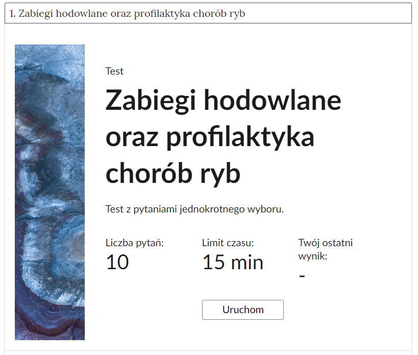 Grafika przedstawia przykładowy wygląd panelu testu. Składa się on z tytułu testu, informacji o liczbie pytań, czasie, w którym należy rozwiązać test, oraz o ostatnim uzyskanym wyniku. Poniżej widać przycisk Uruchom.