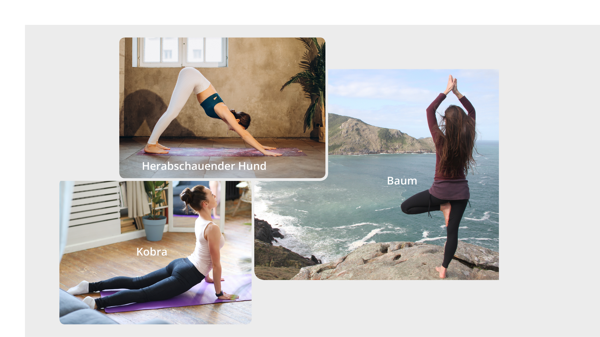 Ilustracja jest montażem trzech zdjęć kobiet ćwiczących jogę. Każda z kobiet wykonuje inną asanę. Zdjęcia podpisane są:
Herabschauender Hund, Kobra, Baum.