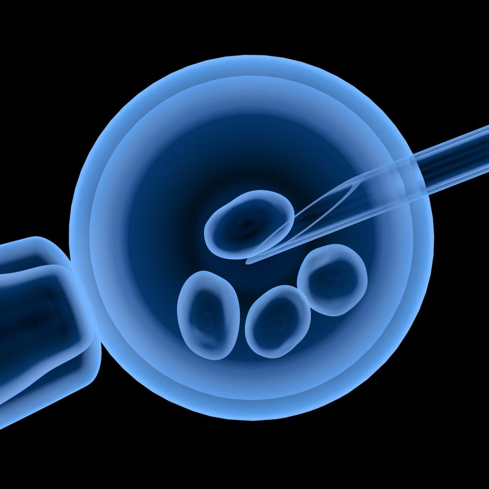 Zdjęcie przedstawia pęcherzyk z kuleczkami. z którego pipetą ktoś pobiera jedną z kulek. 