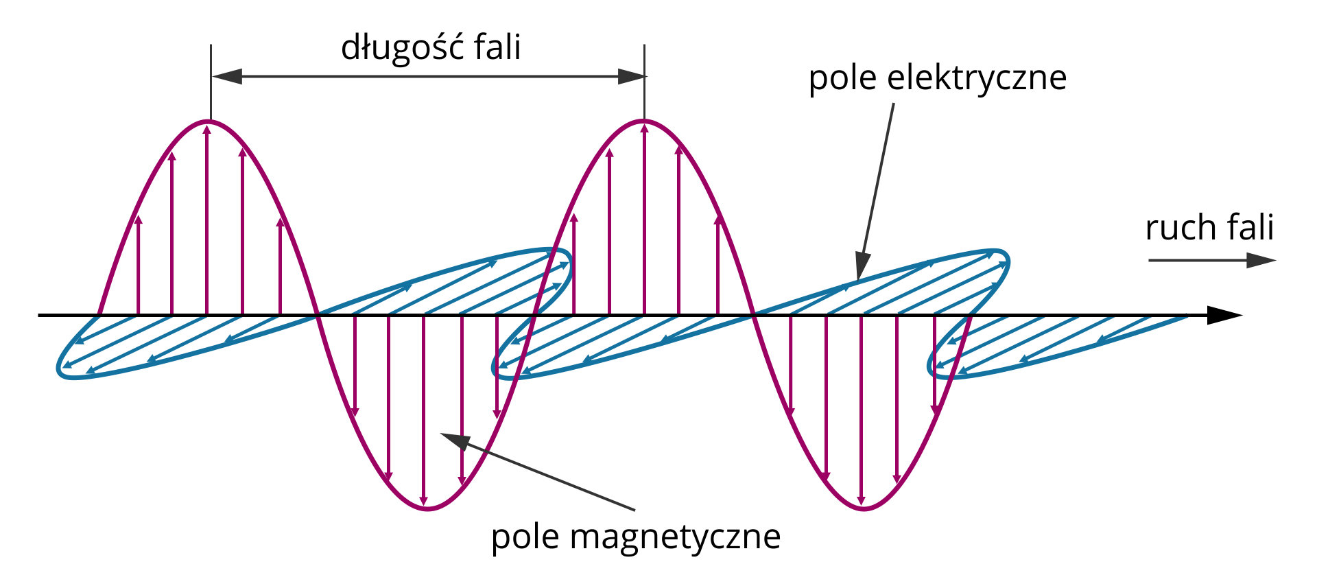 Ilustracja przedstawia schemat fali elektromagnetycznej. Są to dwie sinusoidy narysowane wzdłuż jednej linii, prostopadle względem siebie i w tej samej fazie. Pionowa sinusoida odpowiada polu magnetycznemu, pozioma polu elektrycznemu. Ruch fali odbywa się wzdłuż prostej. Zaznaczono na obrazku długość fali, a więc odległość między najbliższymi punktami na jednej z sinusoid, znajdującymi się w tej samej fazie. Naniesione zostały również strzałki poprowadzone od linii przecięcia, wzdłuż której porusza się fala elektromagnetyczna, do linii sinusoid. Strzałki składowej elektrycznej są równoległe do siebie. Strzałki składowej magnetycznej są równoległe do siebie. Każdej strzałce składowej elektrycznej odpowiada prostopadła do niej strzałka składowej magnetycznej.