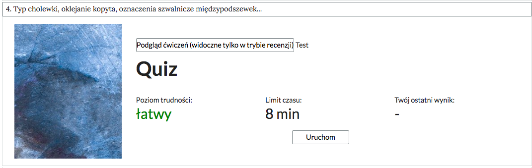 Grafika przedstawia widok na przykładowe ćwiczenie - quiz - w otwartej zakładce. 