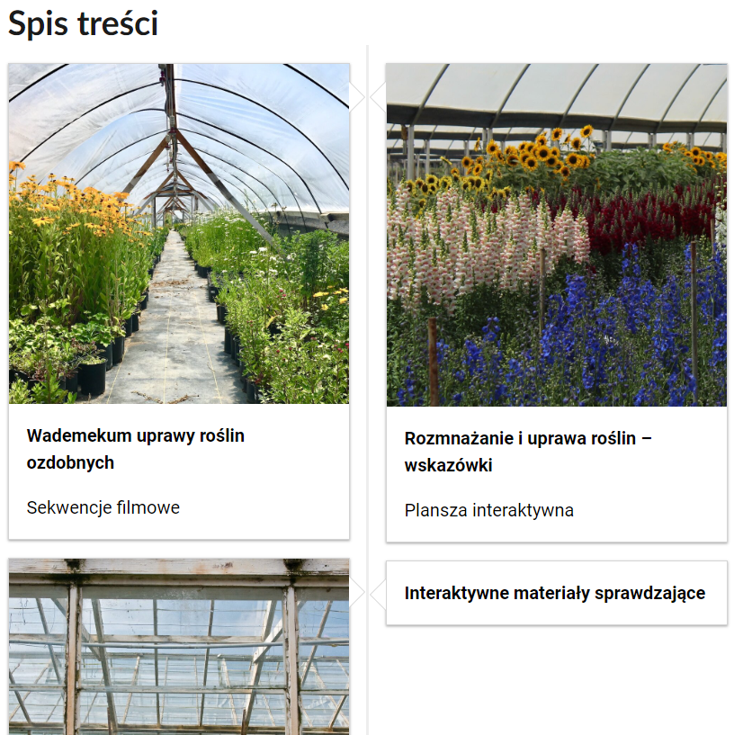 Grafika przedstawia spis treści tej lekcji. Przedstawiono cztery kafelki. Na dwóch z nich umieszczono tytuł materiału, jego rodzaj oraz ilustrację powiązaną z jego tematem. Trzeci kafelek ma tylko ilustrację, na czwartym umieszczono jedynie rodzaj materiału. Pierwszy kafelek zatytułowano: Wademekum uprawy roślin ozdobnych. Sekwencje filmowe. Posiada on ilustrację przedstawiającą tunel do uprawy roślin ze ścieżką przebiegającą przez sam środek i sadzonkami kwiatów po obu jej stronie. Drugi kafelek zatytułowano: Rozmnażanie i uprawa roślin – wskazówki. Plansza interaktywna. Posiada on ilustrację przedstawiającą rosnące w tunelu ochronnym rośliny takie jak słoneczniki czy mieczyki. Trzeci kafelek to ilustracja przeszklenia szklarni widzianego od dołu. Czwarty kafelek zatytułowano: Interaktywne materiały sprawdzające. 