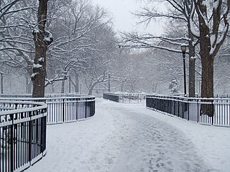 Zdjęcie przedstawia alejkę parkową. Jej obrzeża ogrodzone są niewysokim, metalowym płotem, za którym rosną duże drzewa. Na alejce, płocie i konarach drzew leży niewielka warstwa śniegu.