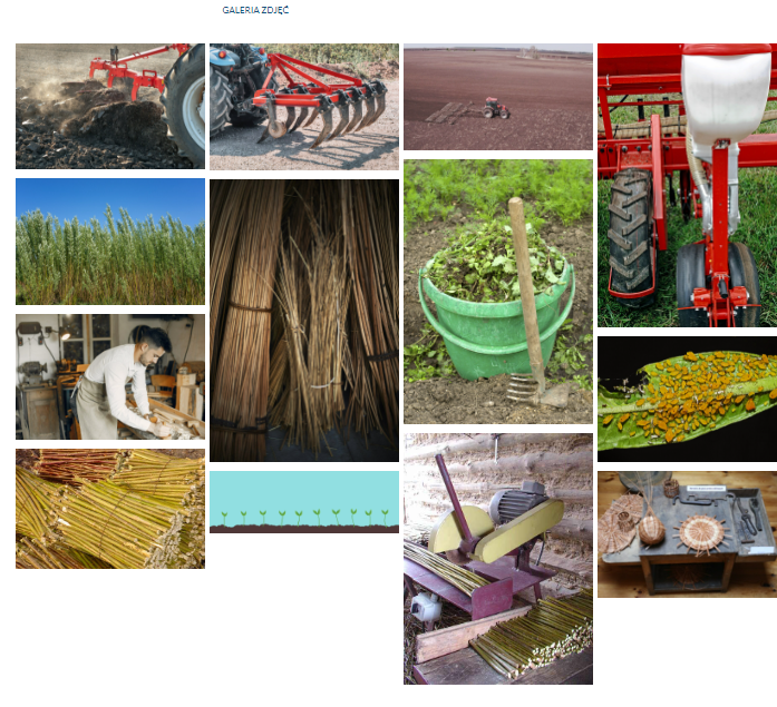 Przykładowy widok galerii zdjęć