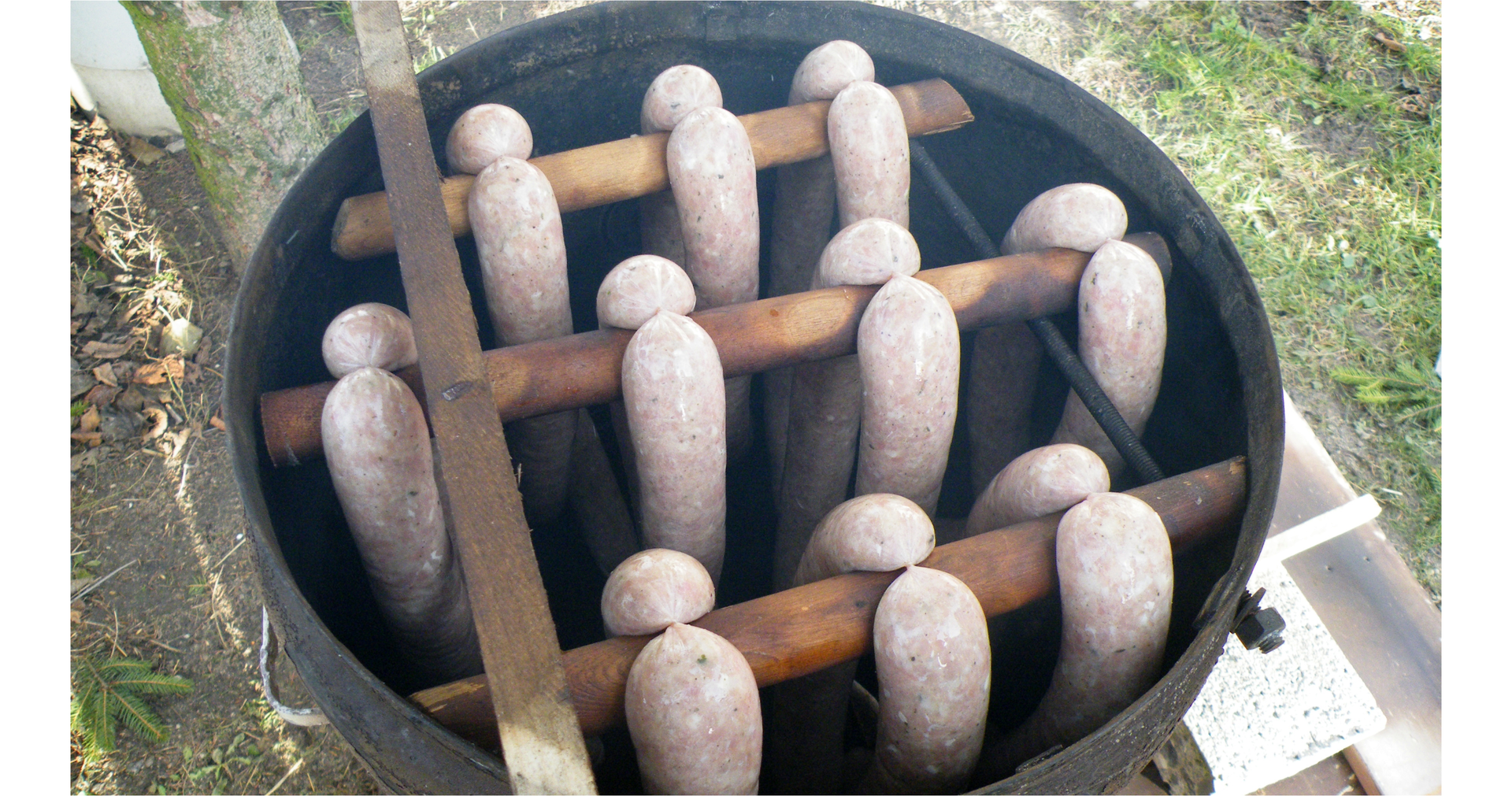 Zdjęcie przedstawia kilka pętek kiełbasy zawieszonych na drewnianych uchwytach w beczce do wędzenia.