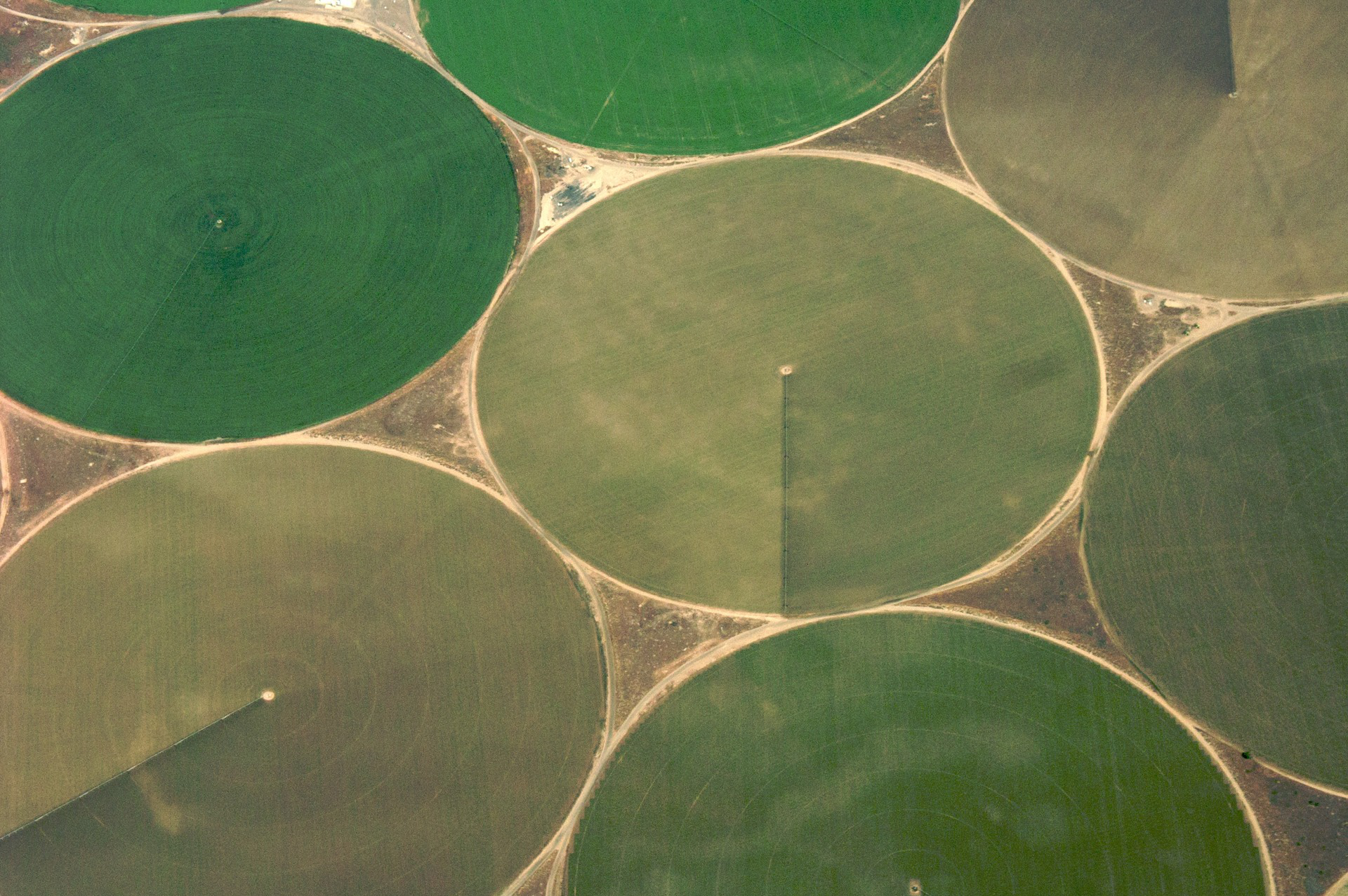 Druga fotografia prezentuje krajobraz widzianych z góry okrągłych nawadnianych pól w różnych odcieniach zieleni. Koła pól stykają się ze sobą. 